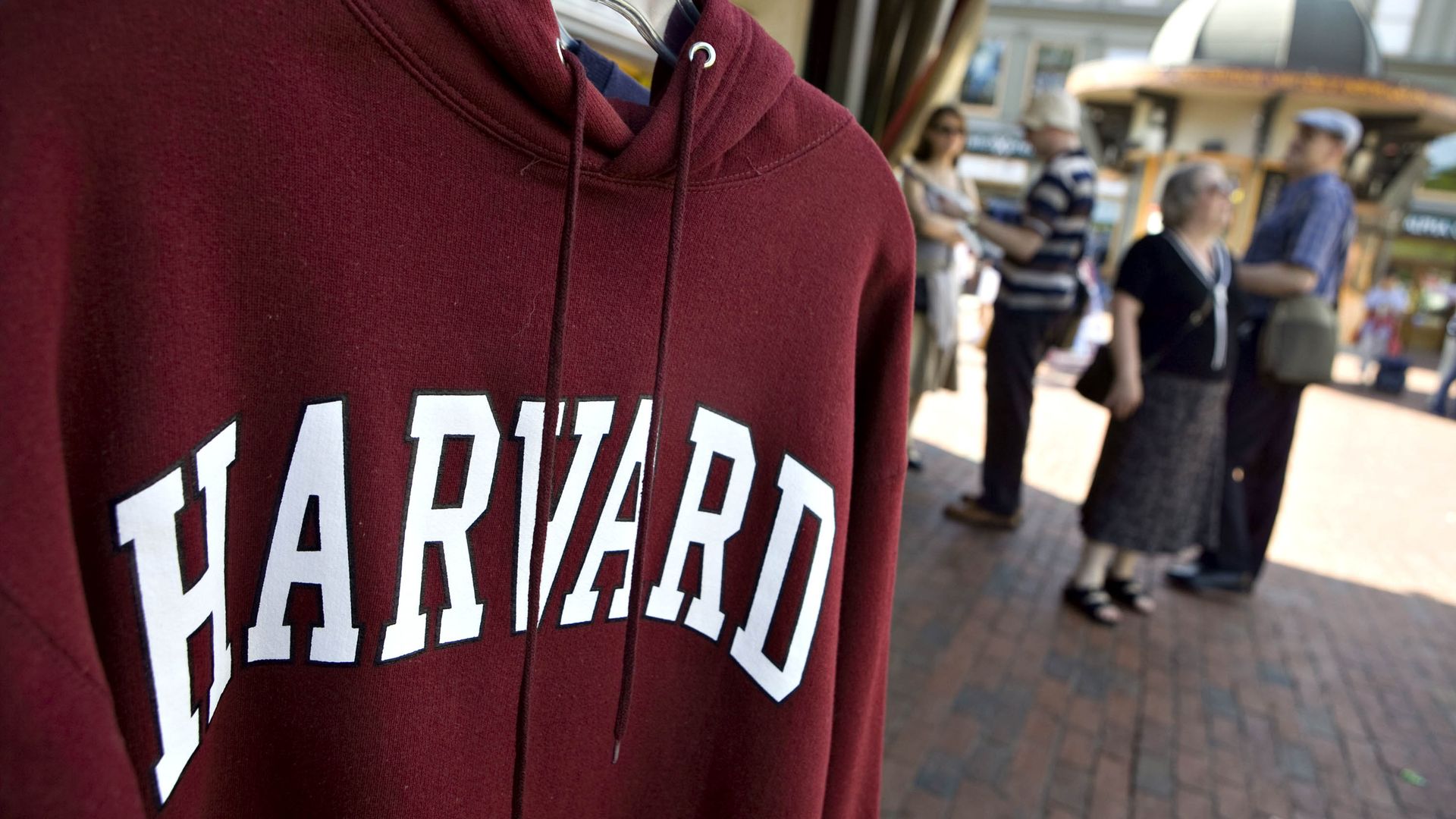 Harvard sweatshirt