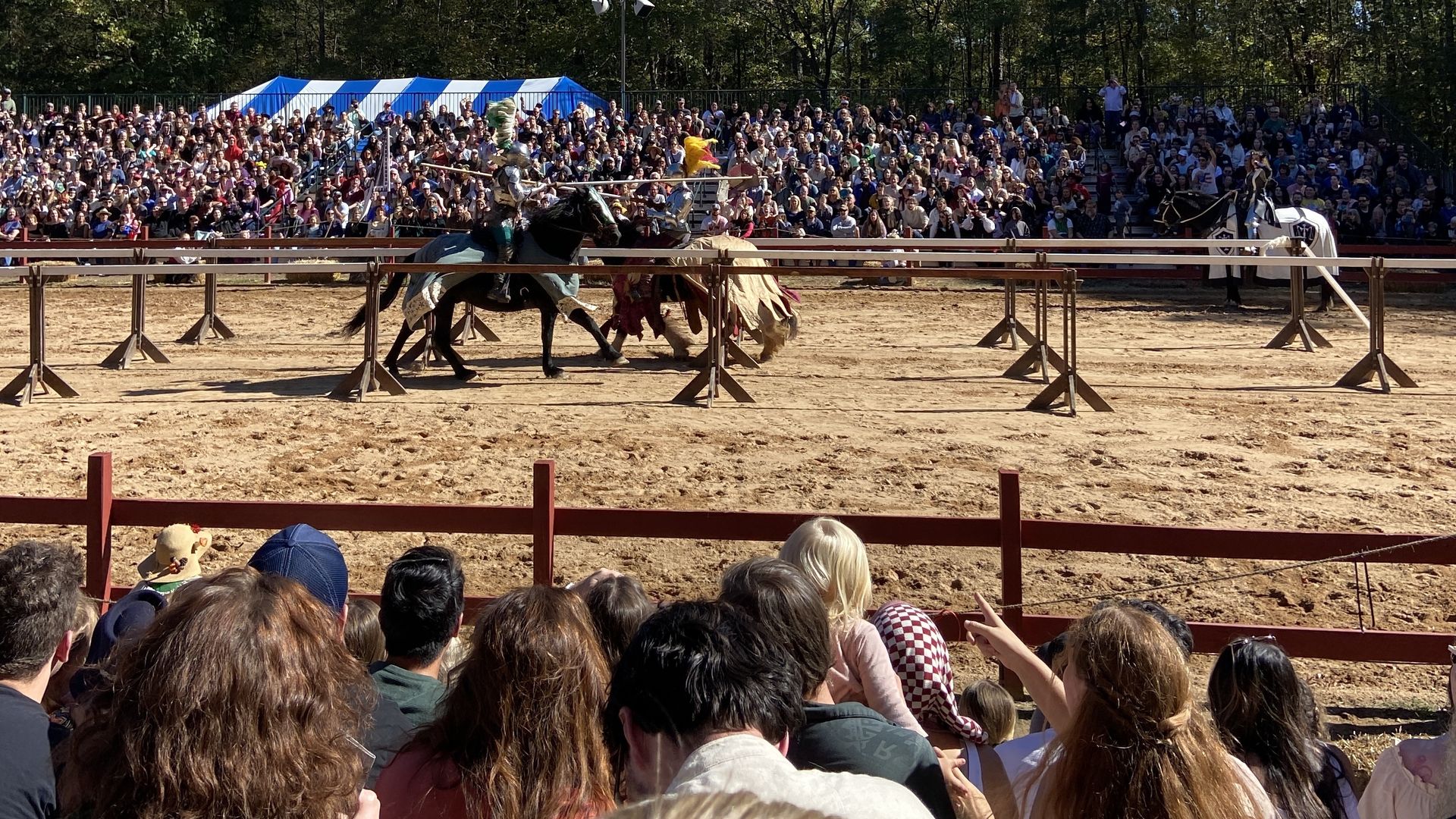 Carolina Renaissance Festival