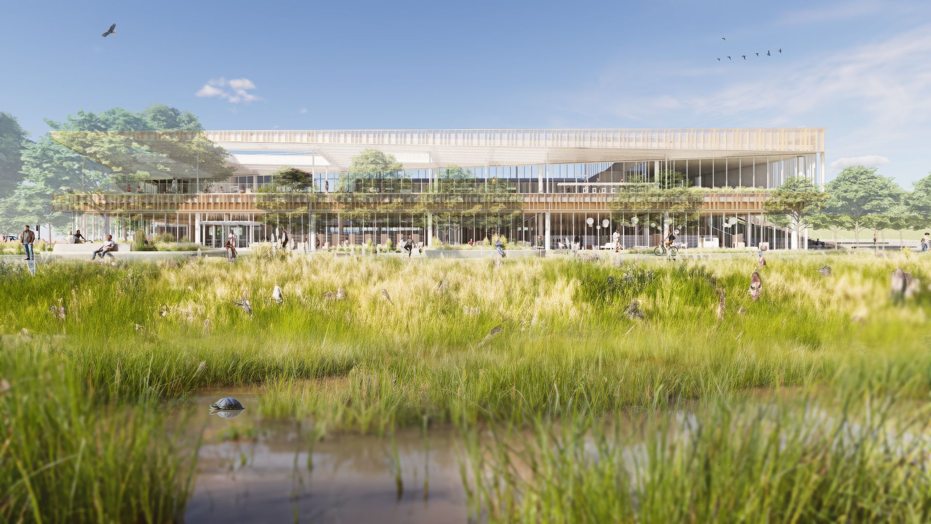Modern two-story building with glass walls surrounded by trees and people. In the foreground, tall grasses and a pond with a turtle. Blue sky with birds flying overhead.