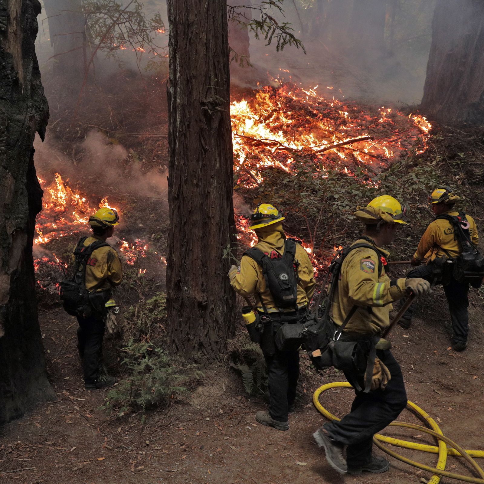 California wildfires 1 million acres razed photos