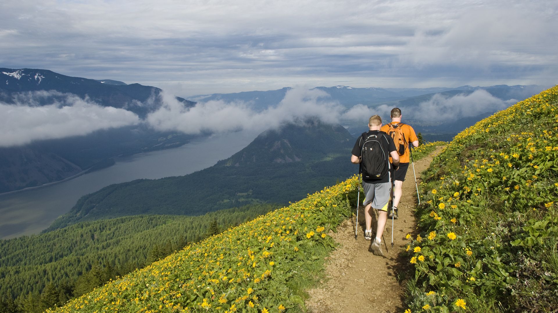 Two hikers walk along a dirt path along a hillside covered in yellow and orange wildflowers. In the distance there's a river cutting through with clouds hanging above.