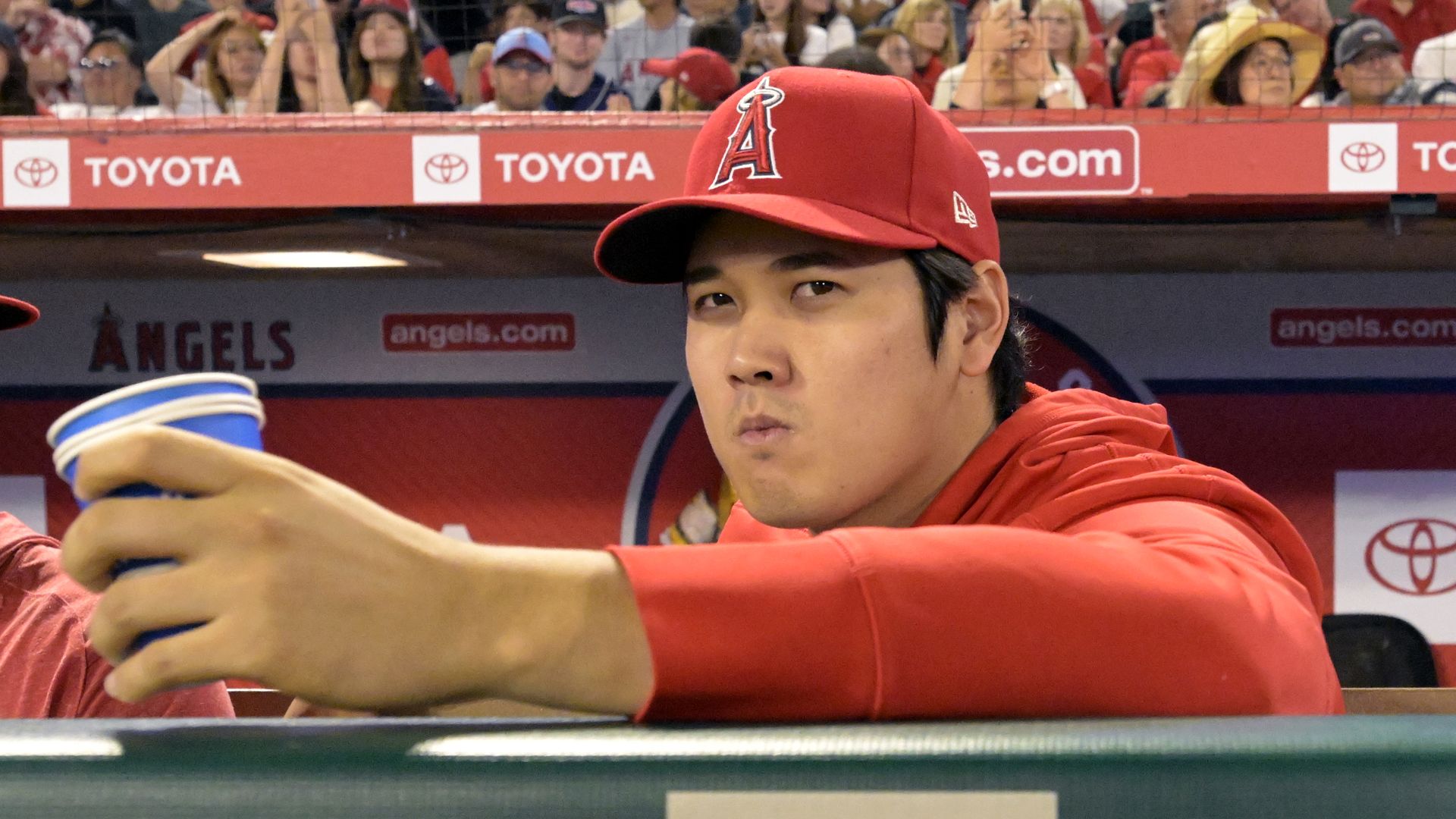 Photo of a baseball player sitting in the dugout 