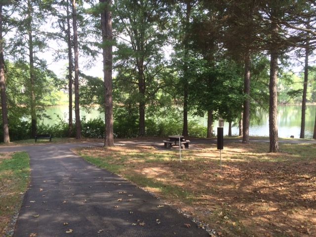 ingersoll rand walk path forest