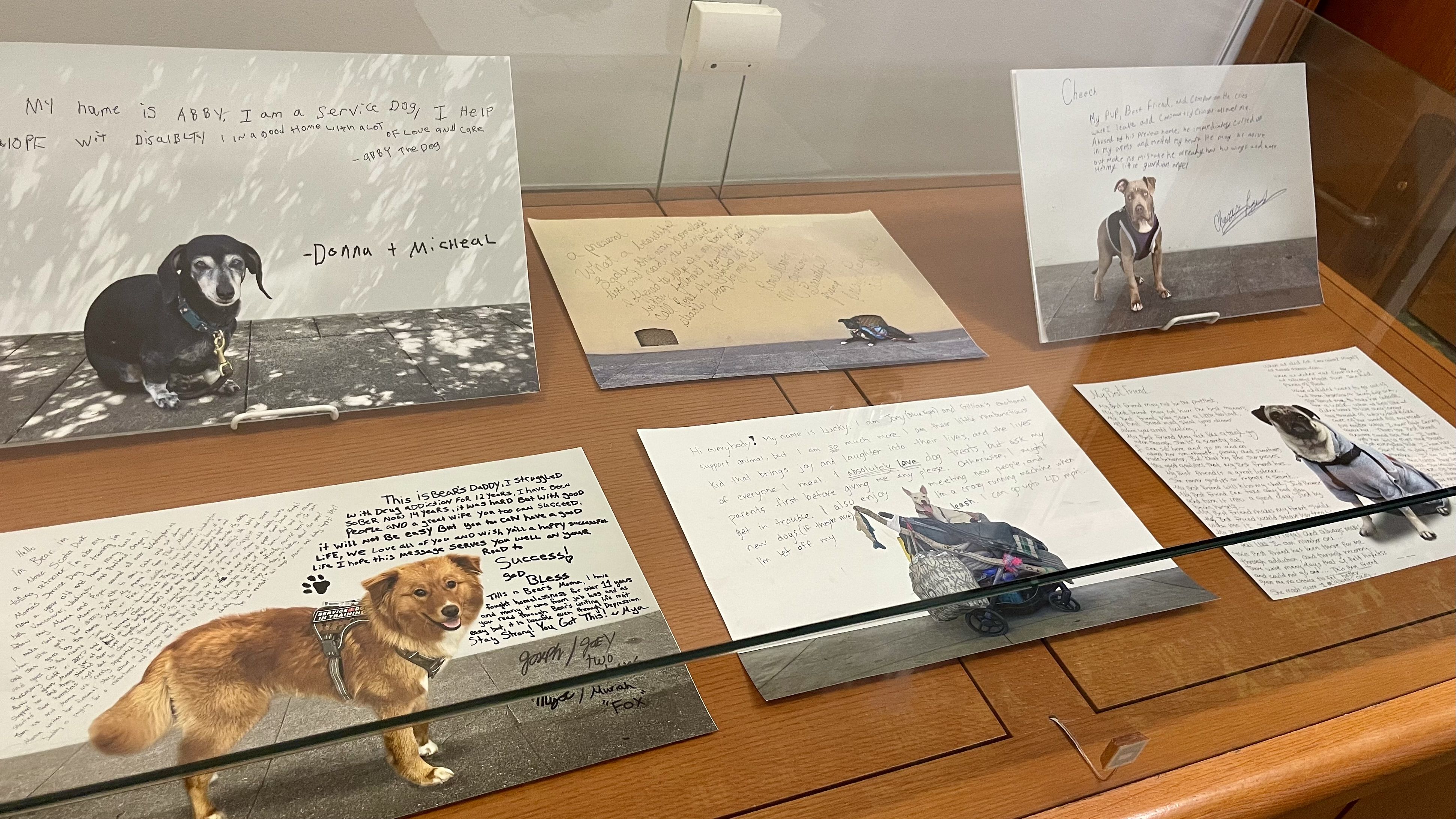 A photo of six images inside a glass box, showing different pictures of dogs.