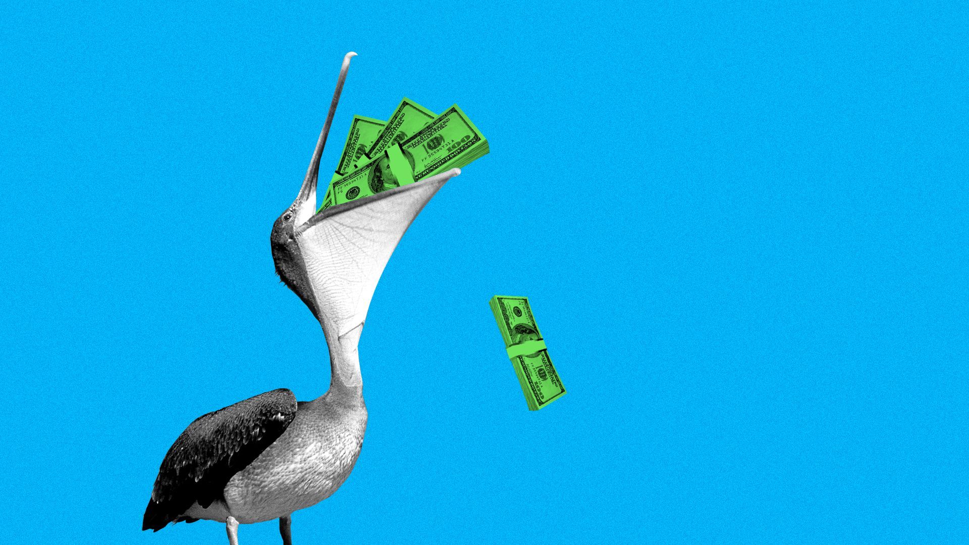 Illustration of a pelican with stacks of cash in his mouth.