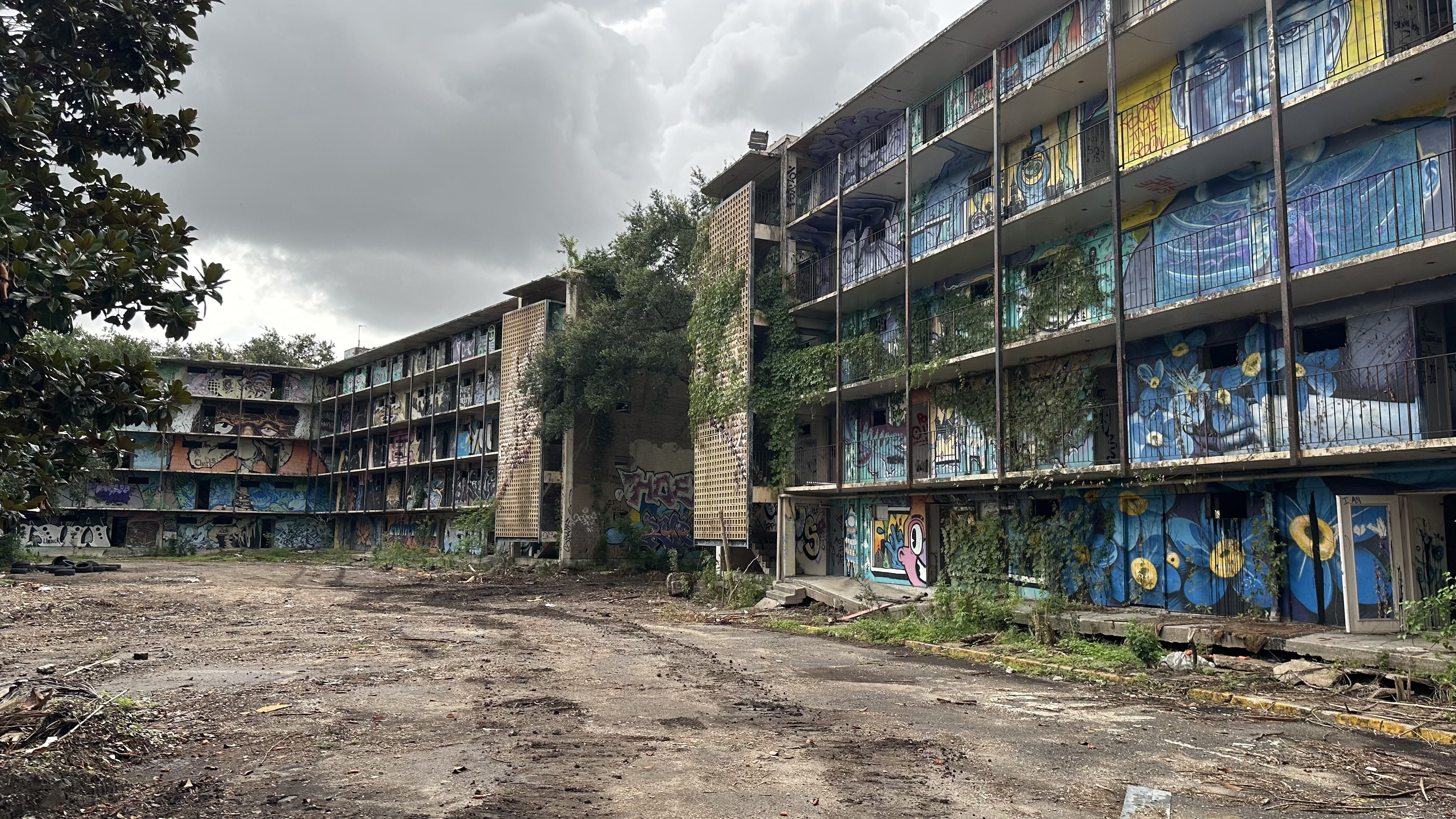 Overgrown greenery is seen in the courtyard of DeGaulle Manor.