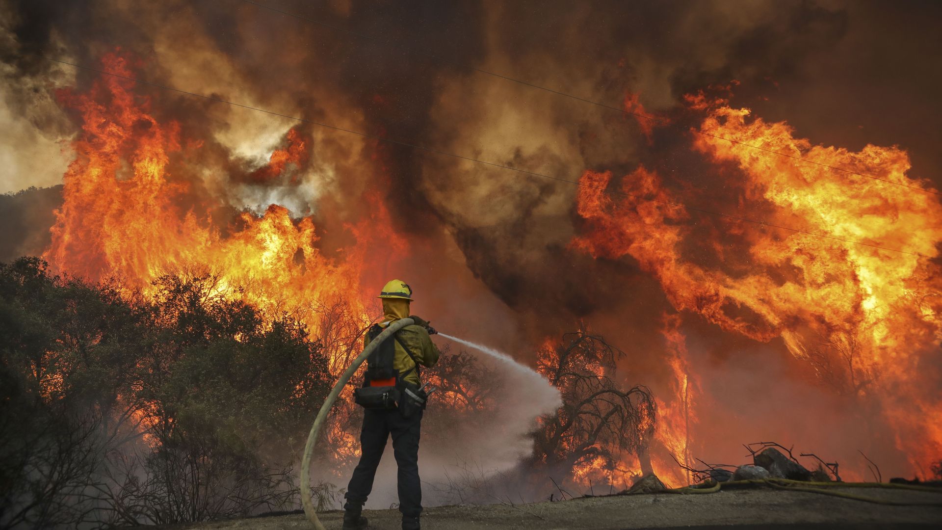 A firefighter stands with a hose over his shoulder putting out flames of a wildfire along a road that's engulfing the brush.