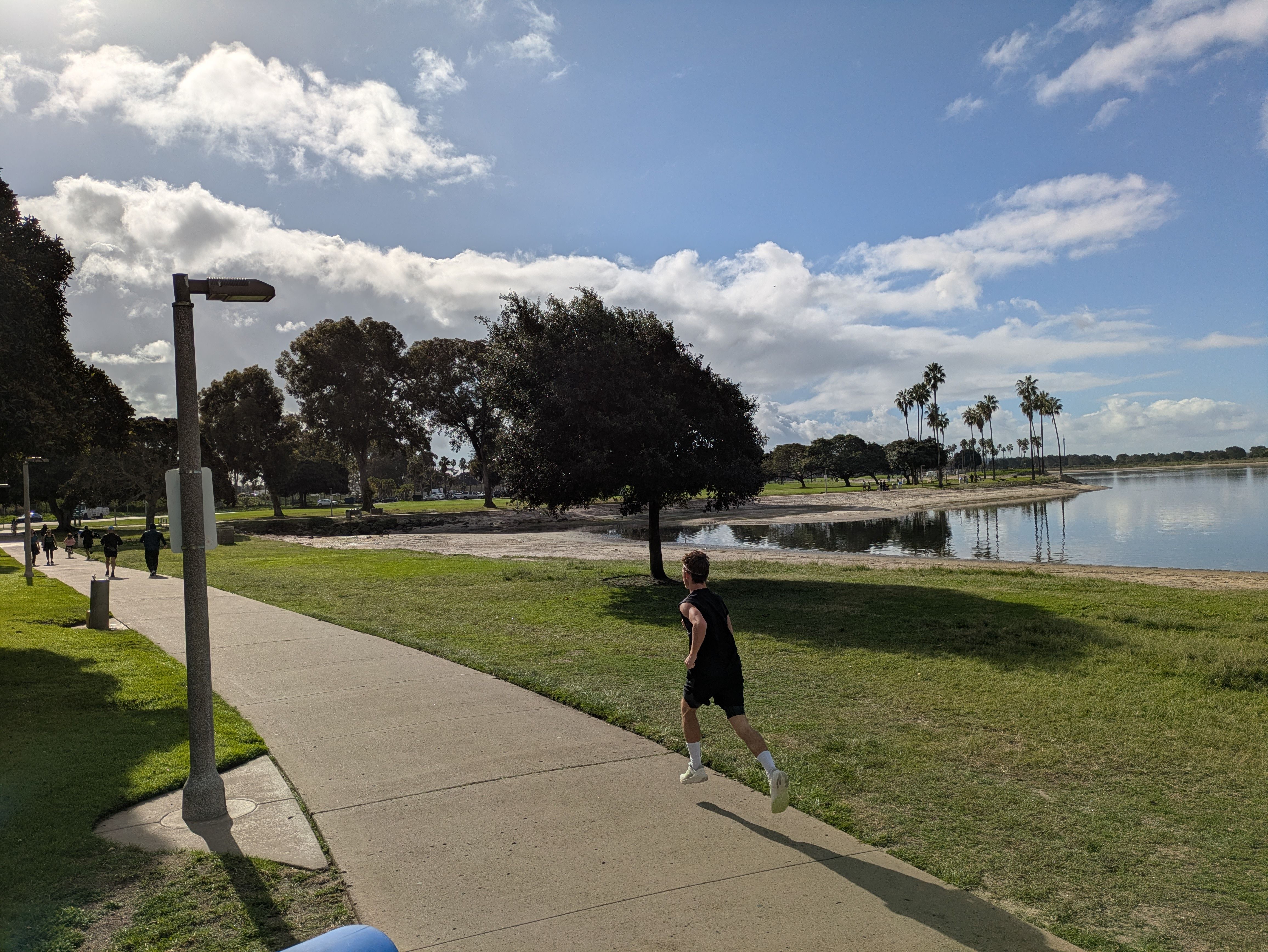 A person jogging on a paved path beside a lake with green grass, trees, and palm trees under a partly cloudy blue sky in a park setting.