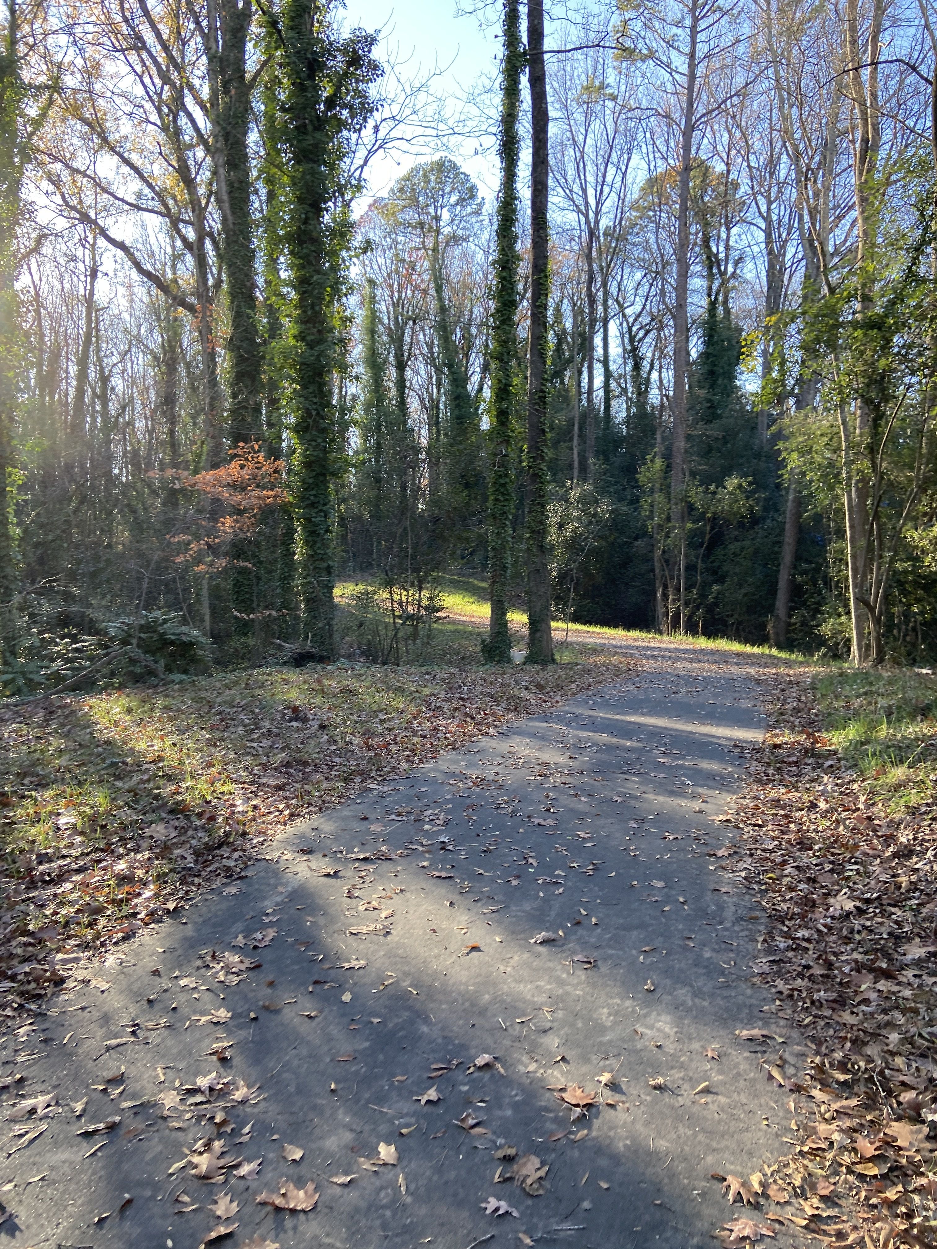 Heading toward Keystone Court through a wooded area.