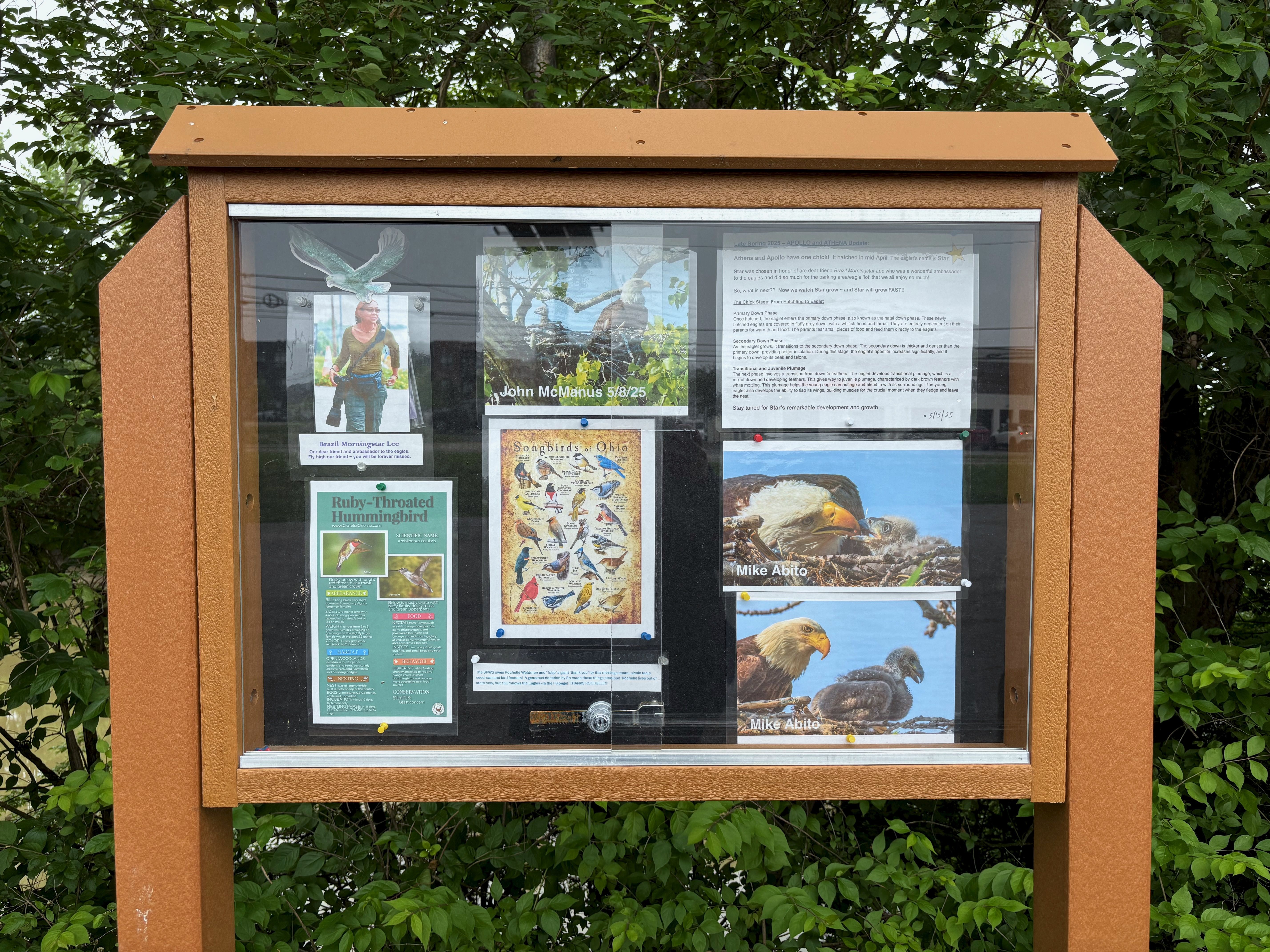 Another message board containing photos and information about Athena, Apollo and Star