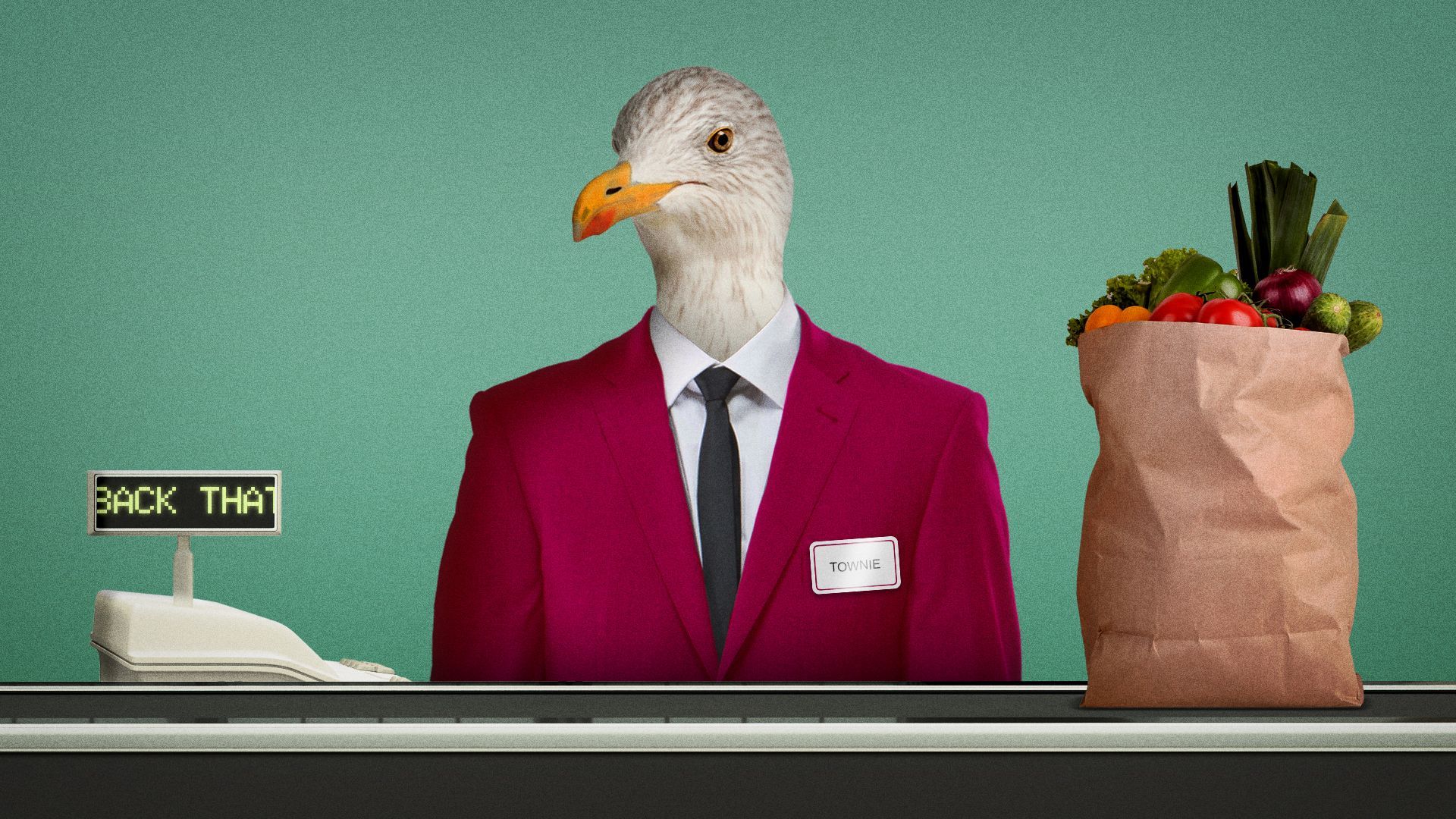 Illustration of a seagull wearing a maroon blazer and working as a cashier at a supermarket.