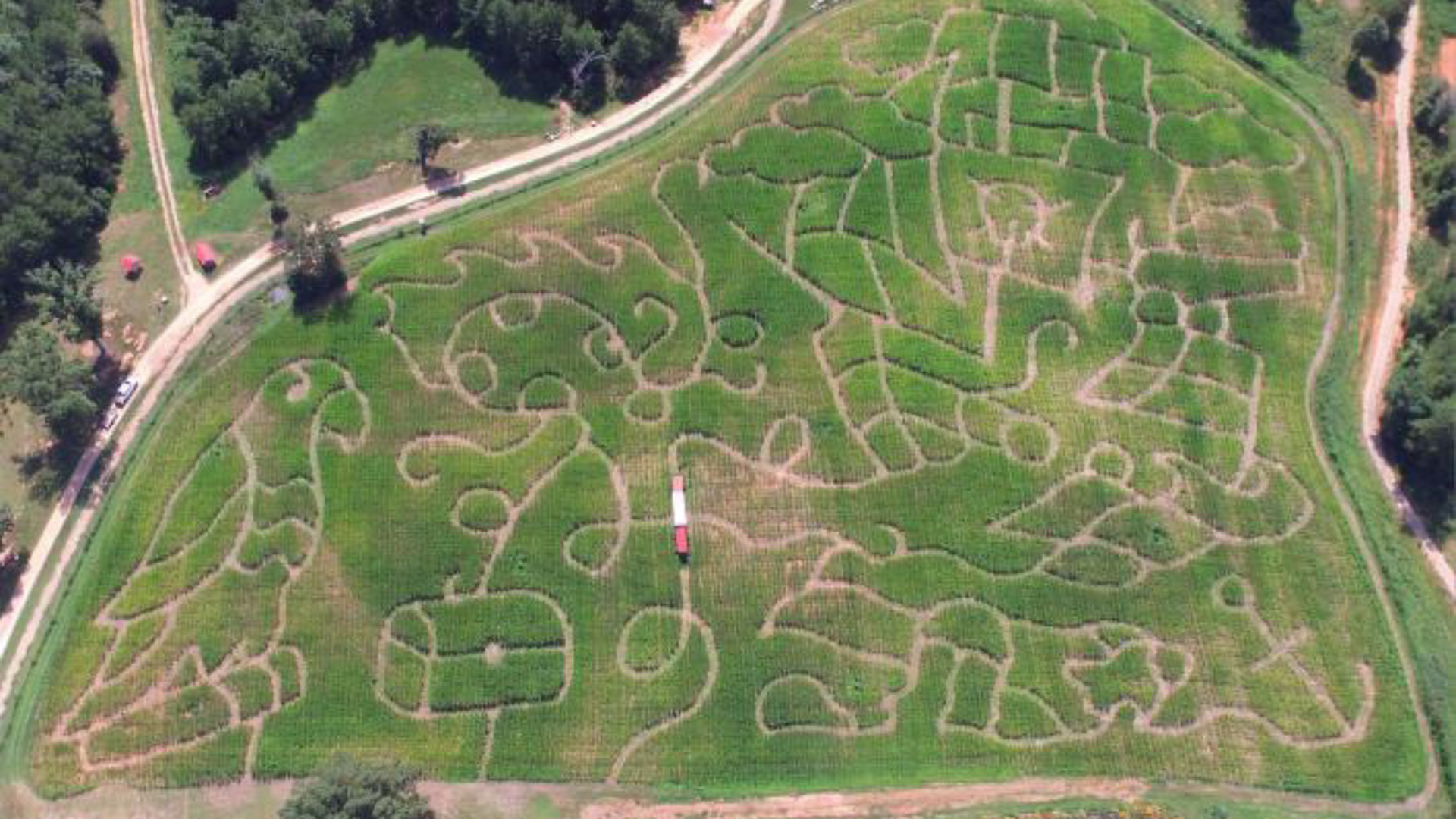 Hall Family Farm Corn Maze 2025