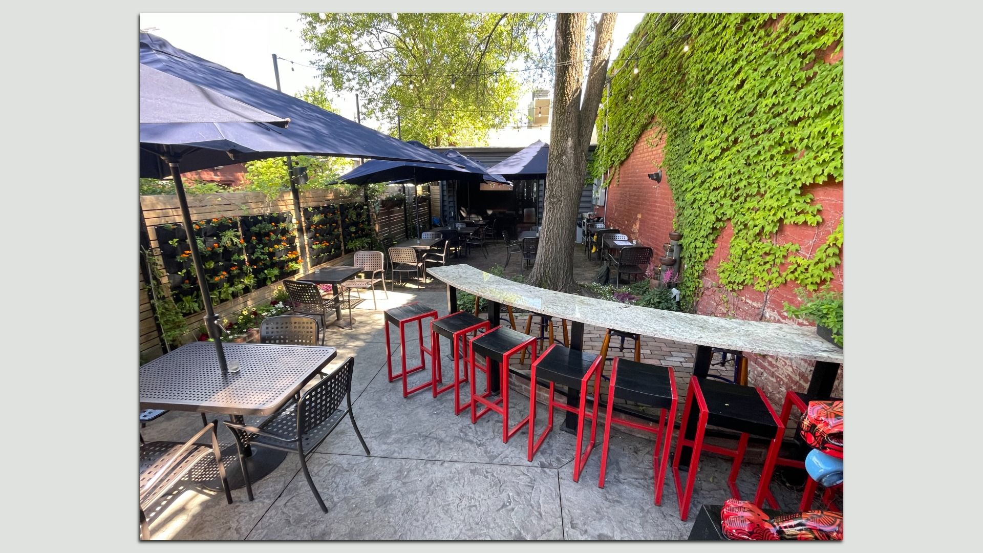 Outdoor cafe patio with metal tables and chairs, blue umbrellas, string lights, and a central tree. Ivy-covered brick wall on the right; red bar stools line a curved marble counter in the foreground.