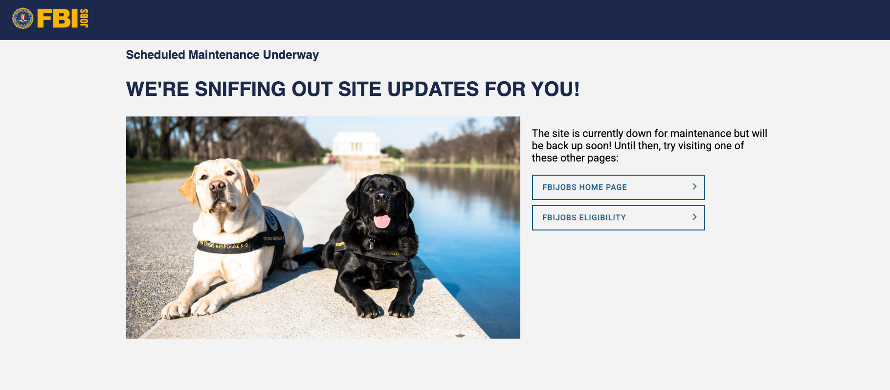 Two Labradors wearing K-9 vests rest on a concrete ledge beside a calm pond in a park. A tan lab sits on the left and a black lab on the right, with a distant monument in the background. The site says it is down for scheduled maintenance.