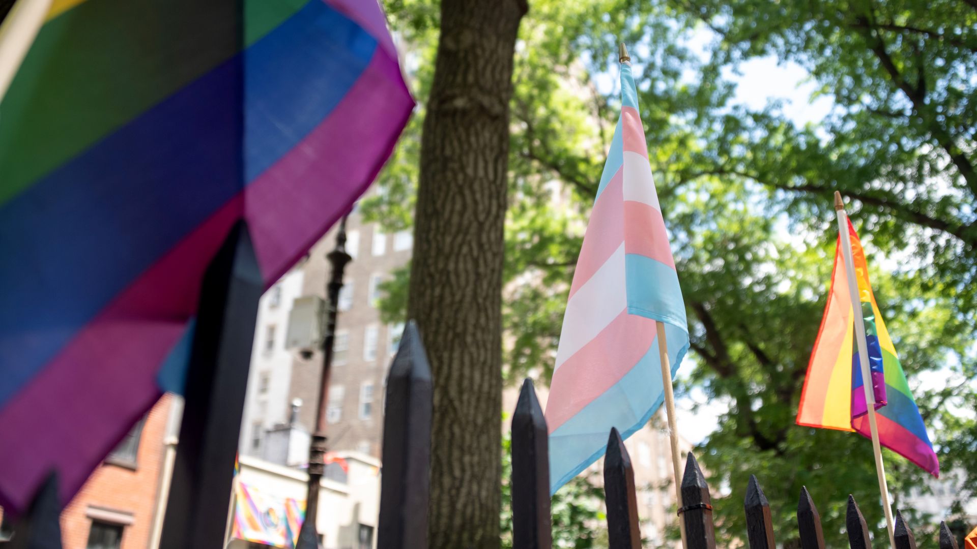 Photo of a trans flag and a rainbow flag perched on a fence