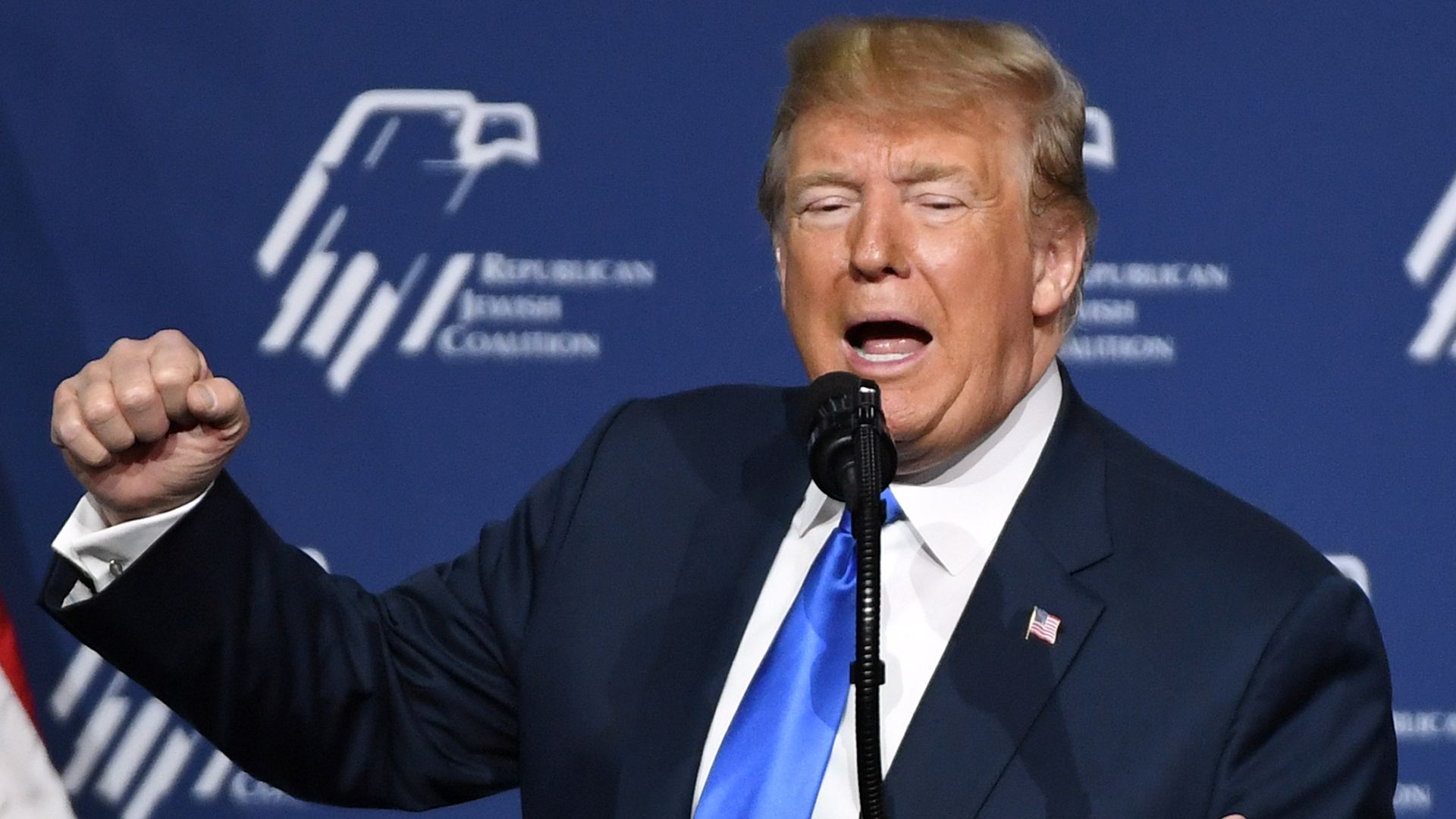 Donald trump fist pumping at a podium