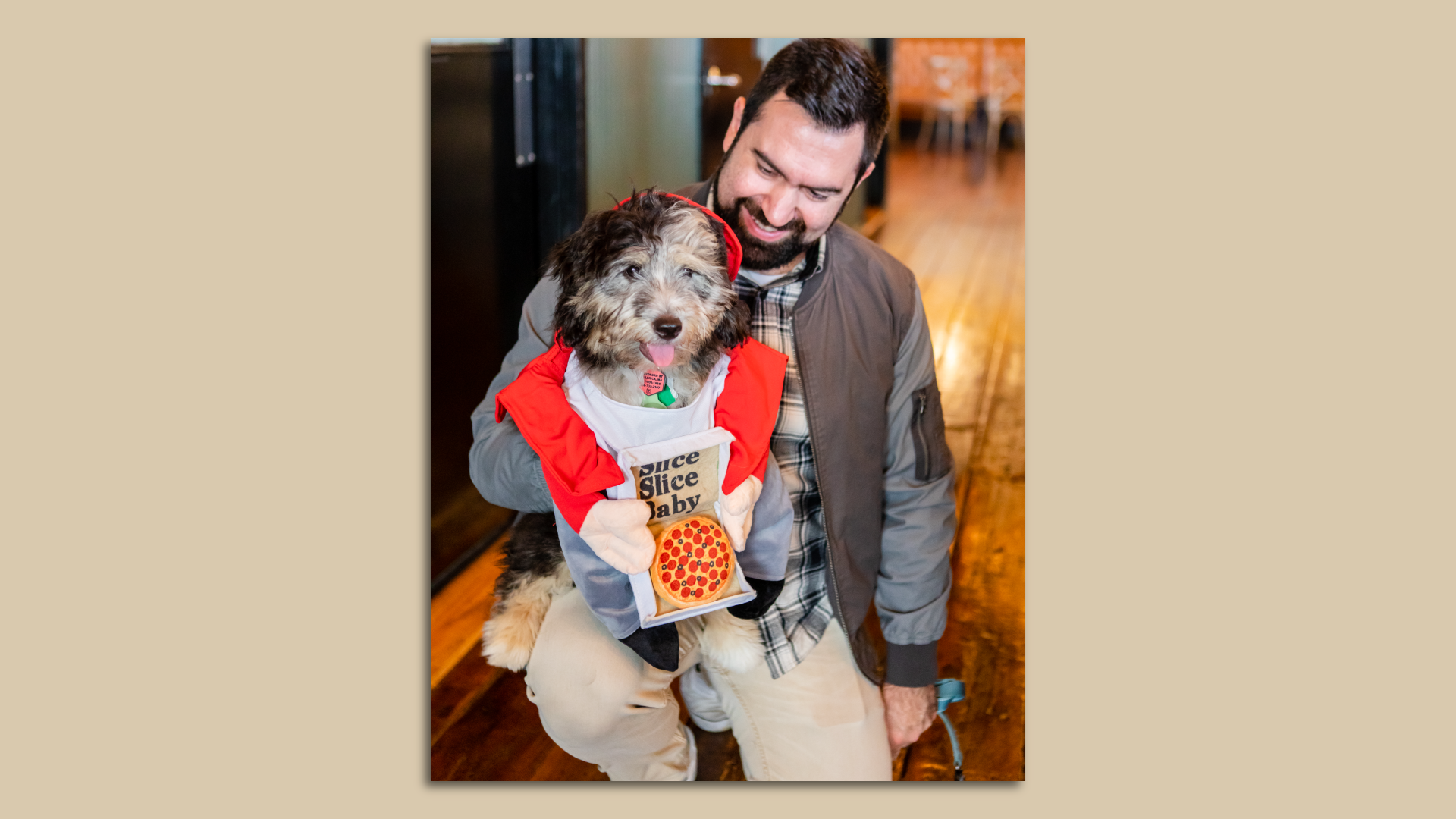 A guy kneels and holds up his shaggy dog in a pizza deliverer costume.