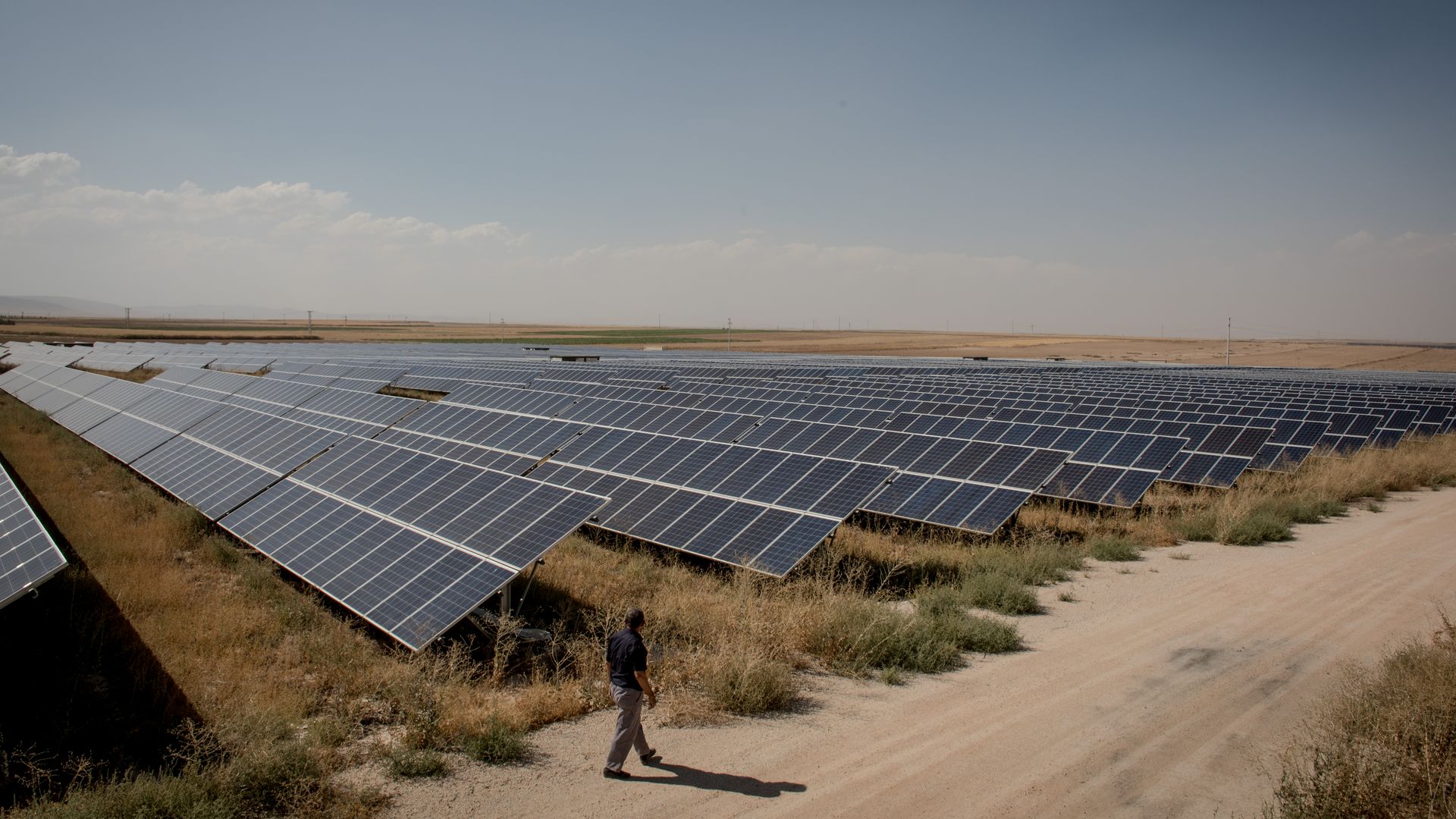 A person walks by solar panels in a field.