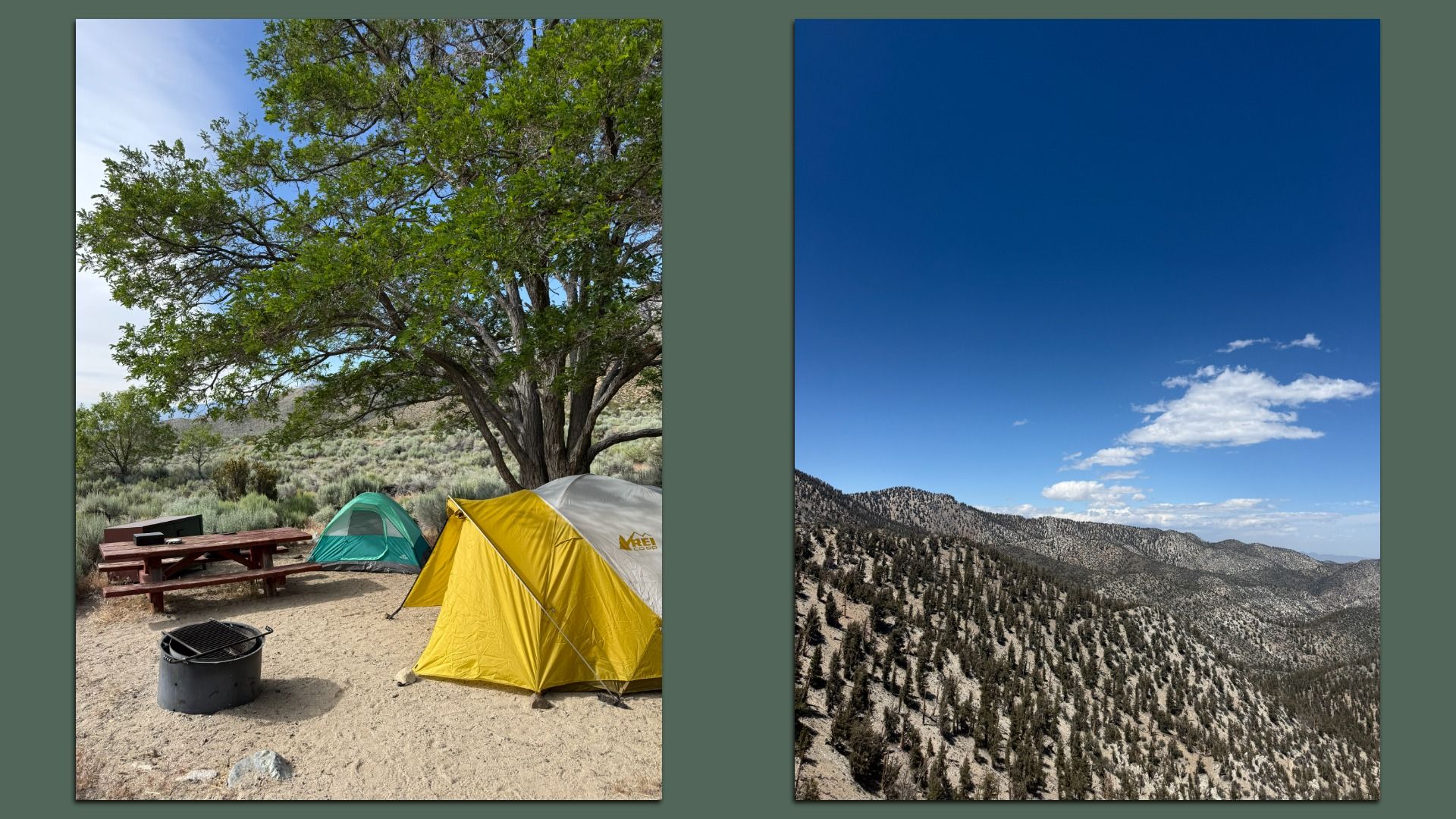 Two photos on a green backdrop: left shows desert campsite with a large tree, yellow and teal tents, a picnic table, and a fire ring; right shows mountains with pine trees under blue sky and clouds.
