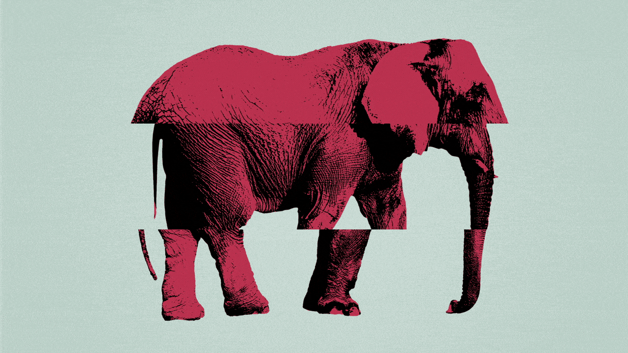 Illustration of top, middle and bottom views of three elephants, making up an image of one elephant and cycling through the different parts.