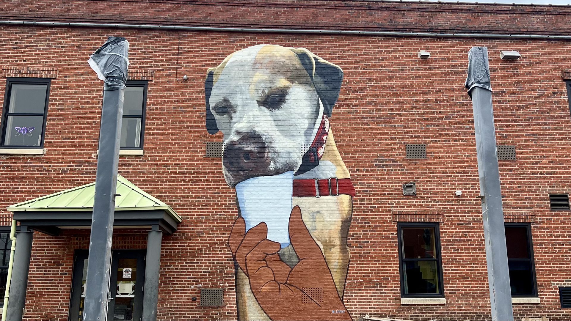 Mural on red brick wall showing a large tan and white dog with a red collar licking a white cup held by two brown hands.