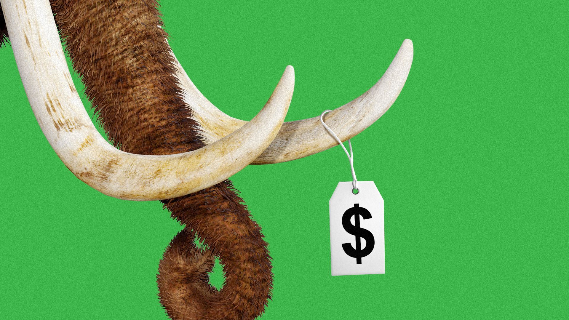 Texas de-extinction startup Colossal secures $200M - Axios Austin
