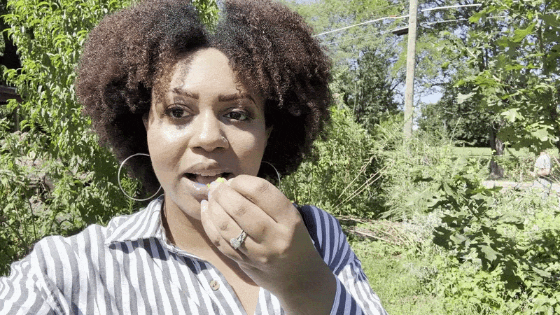 Zuefle hopes to have more than reporters taking a bite out of the local landscape. That was an evening primrose flower by the way.