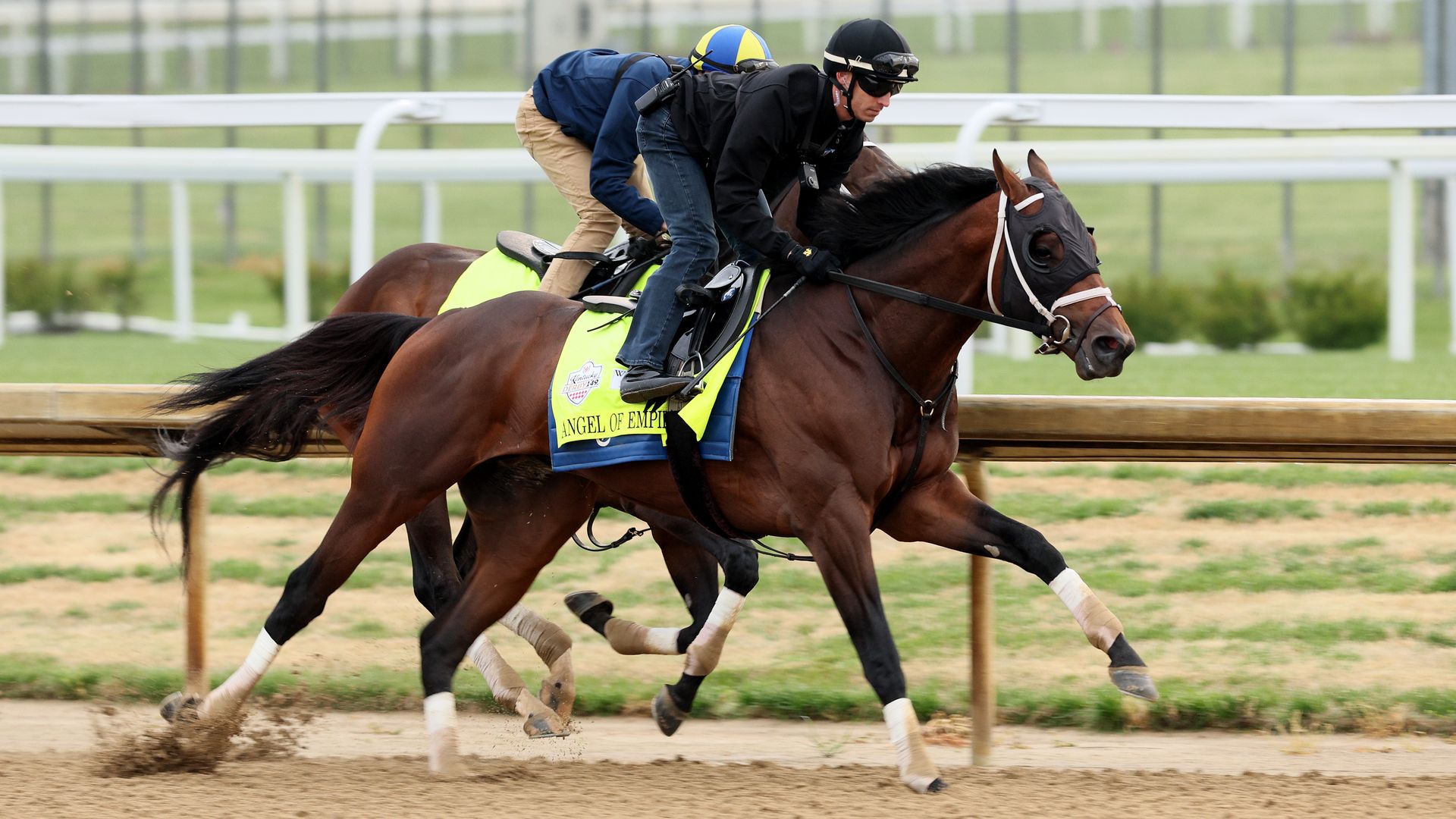 Angel of Empire was bred in Pine Grove.  