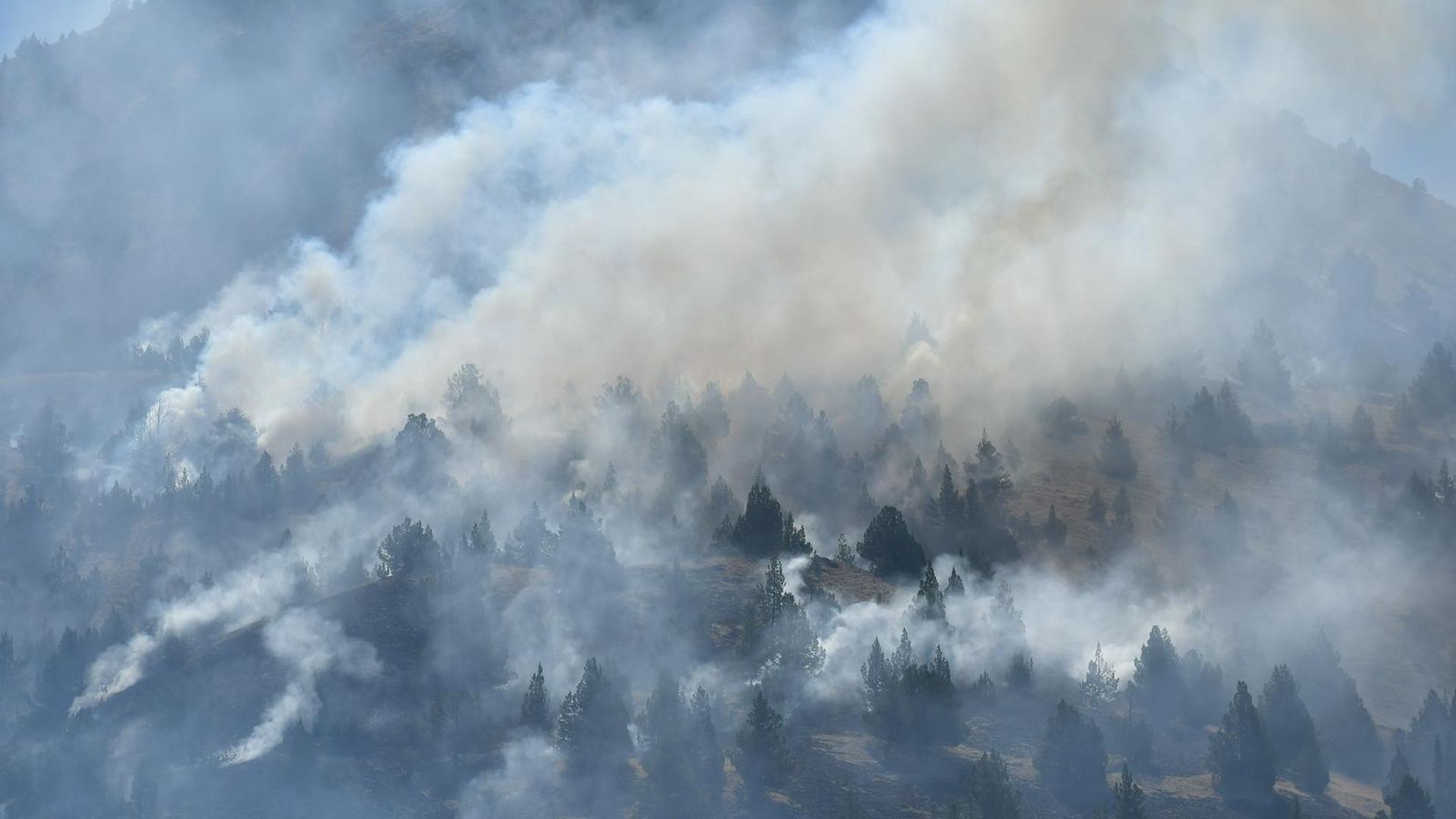 Smoke rises from the Cram fire, burning near Madras in central Oregon. Photo: Courtesy of Cram Fire Incident Management Team