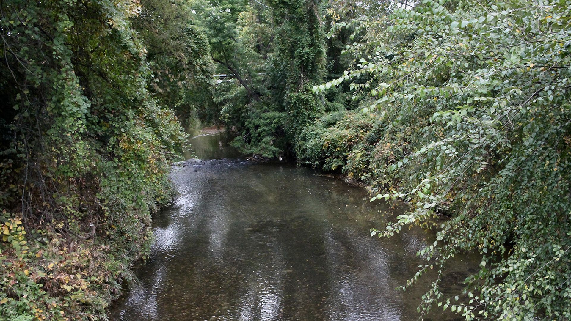 Irwin Creek in Charlotte. Photo: Alexandria Sands/Axios