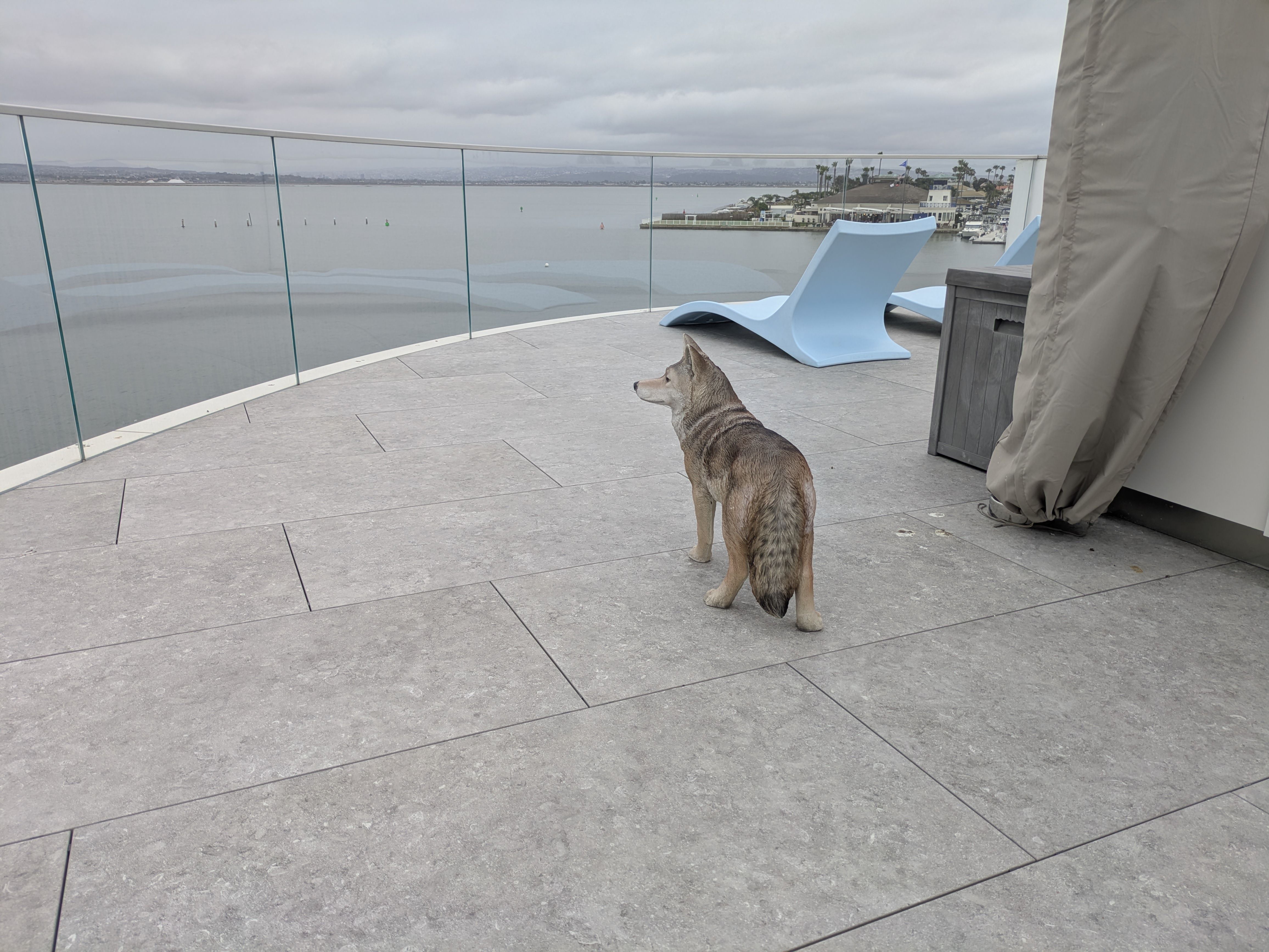 Overcast rooftop deck with glass railing overlooking a calm harbor. A light blue curved lounge chair sits on gray tiles; a dog stands in the foreground, with boats and distant hills visible across the water.