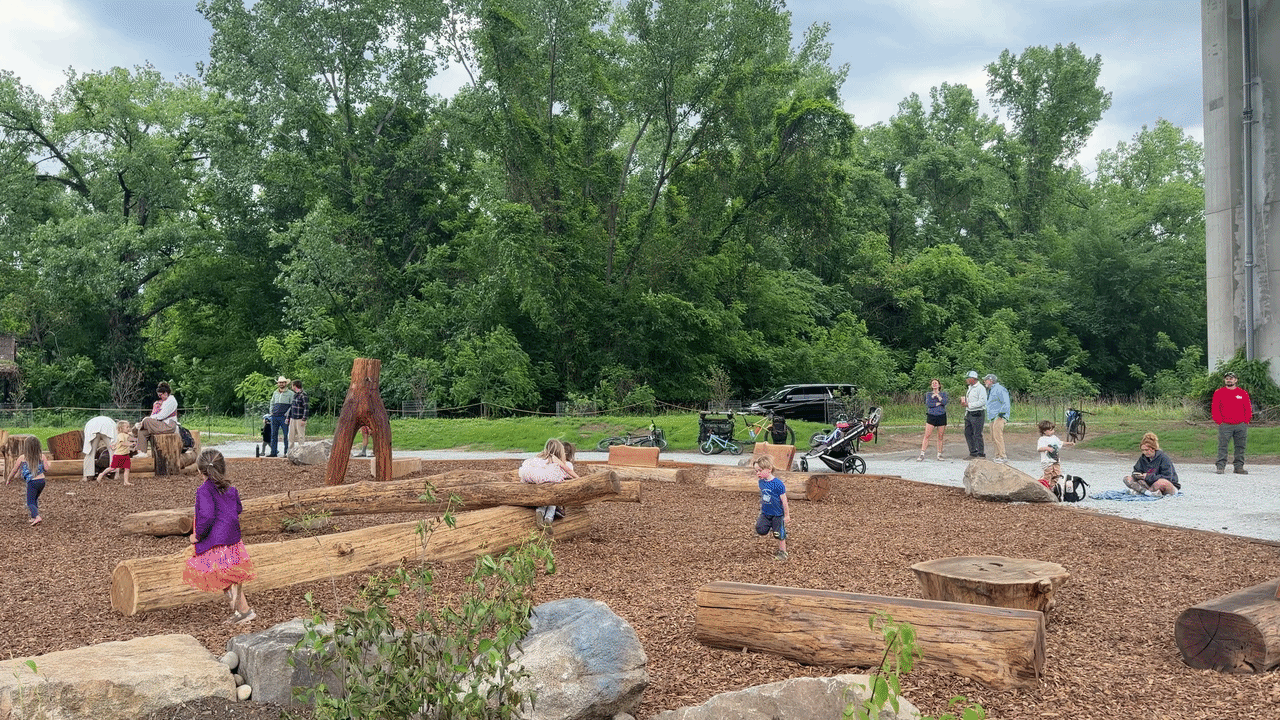 a video of kids running around a nature-y park
