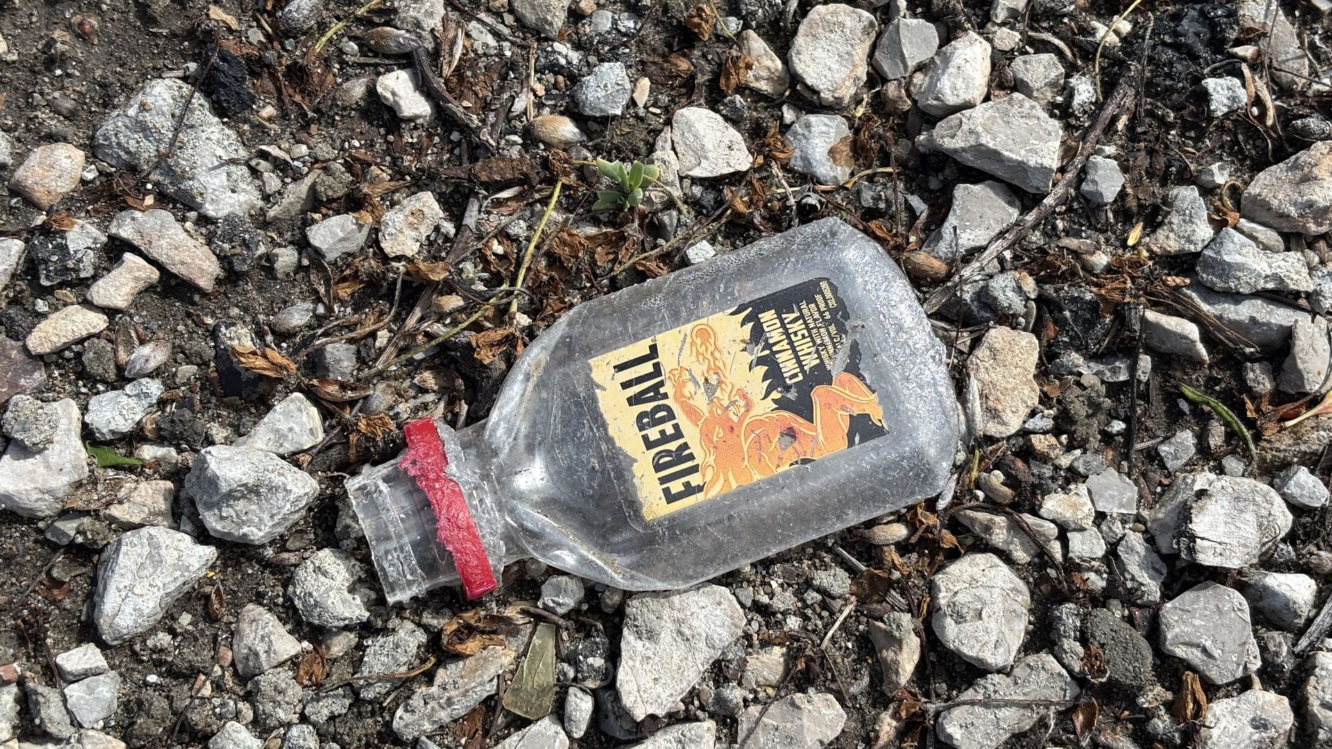 A translucent plastic bottle with a red cap labeled "FIREBALL" lies on a gravelly ground among small rocks, twigs, and a tiny green plant.
