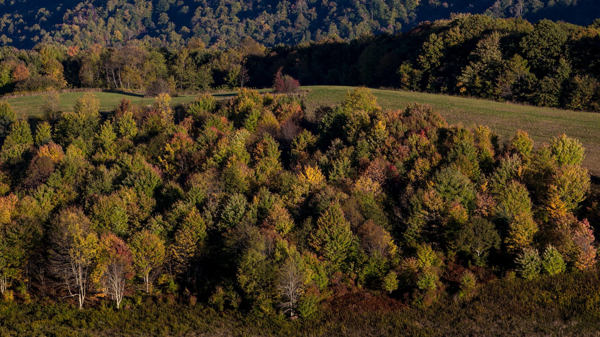 Trees viewed from Max Patch, a bald mountain that is a favorite camping spot for those hiking the Appalachian Trail, are beginning to turn color on October 8, 2015 near Hot Springs, North Carolina.