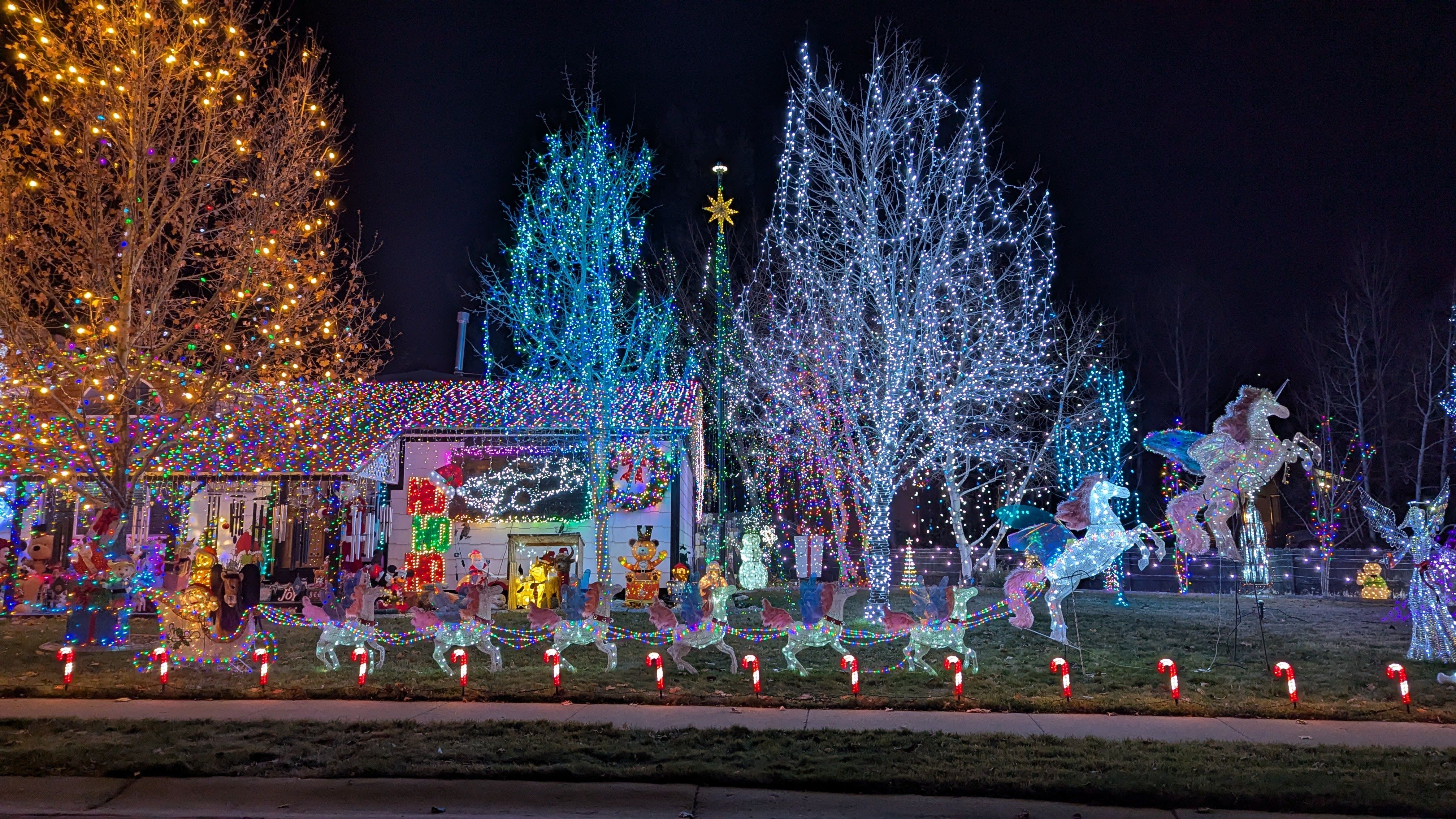 Pastel lights coat trees and a house with a team of alicorns driving a sleigh.