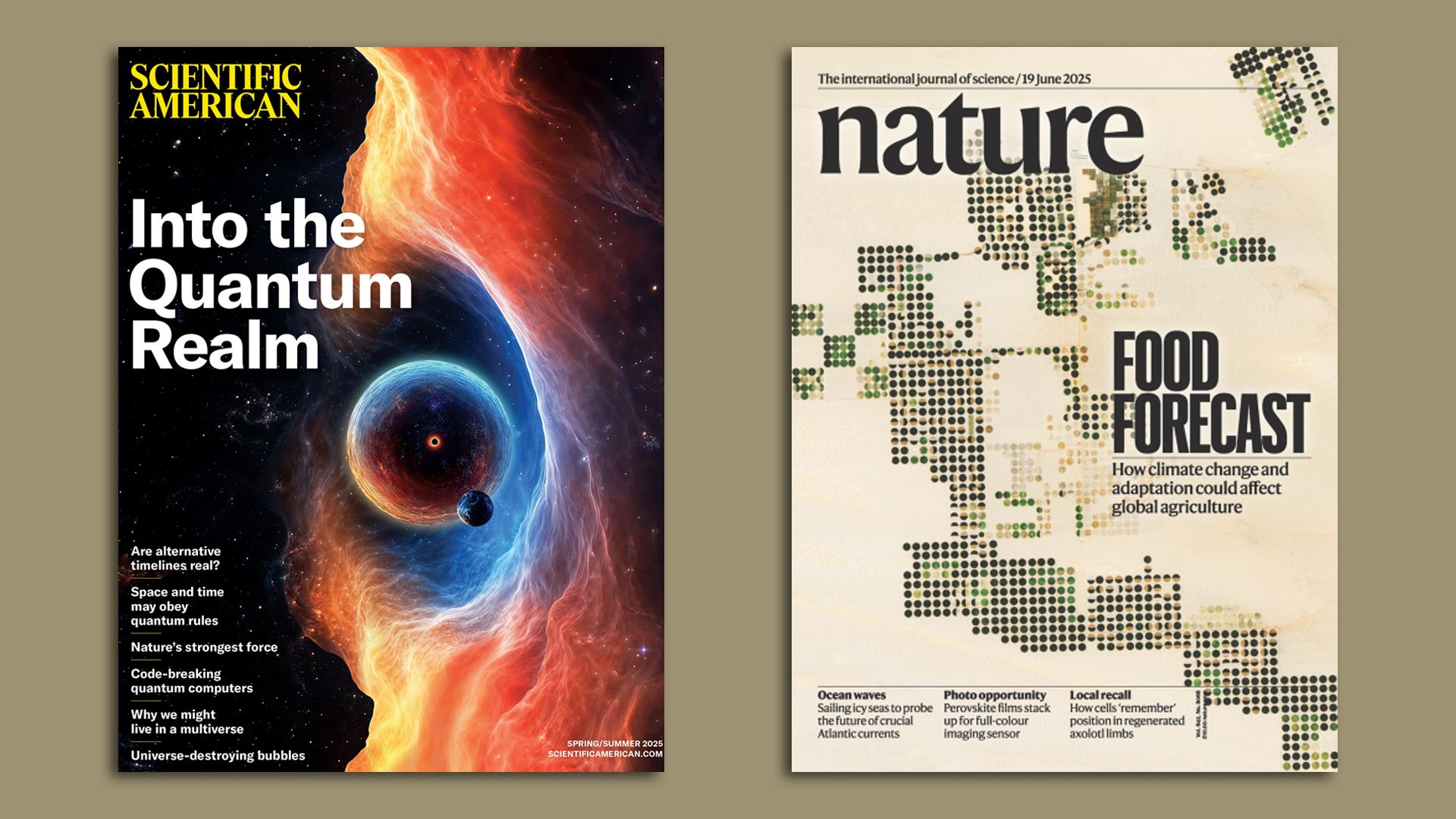 Springer Nature publications