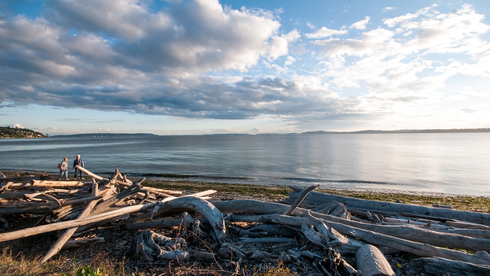 A driftwood filled beach at Discovery Park in Seattle.