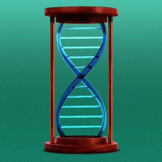 Researchers identify four distinct types of autism