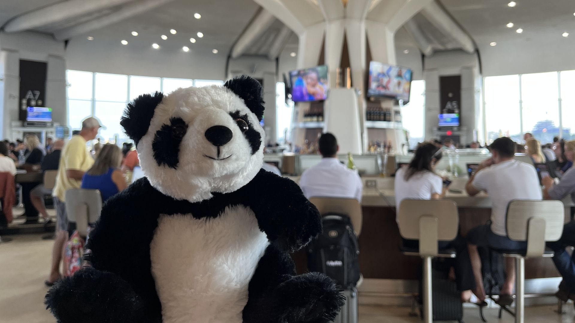 Go-Go the stuffed animal panda poses in front of the rounded bar at DCA's Terminal A, as patrons watch TVs and chat with their suitcases.