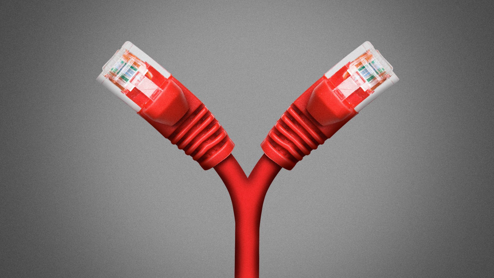 Illustration of a split ethernet cable with forked connectors. 