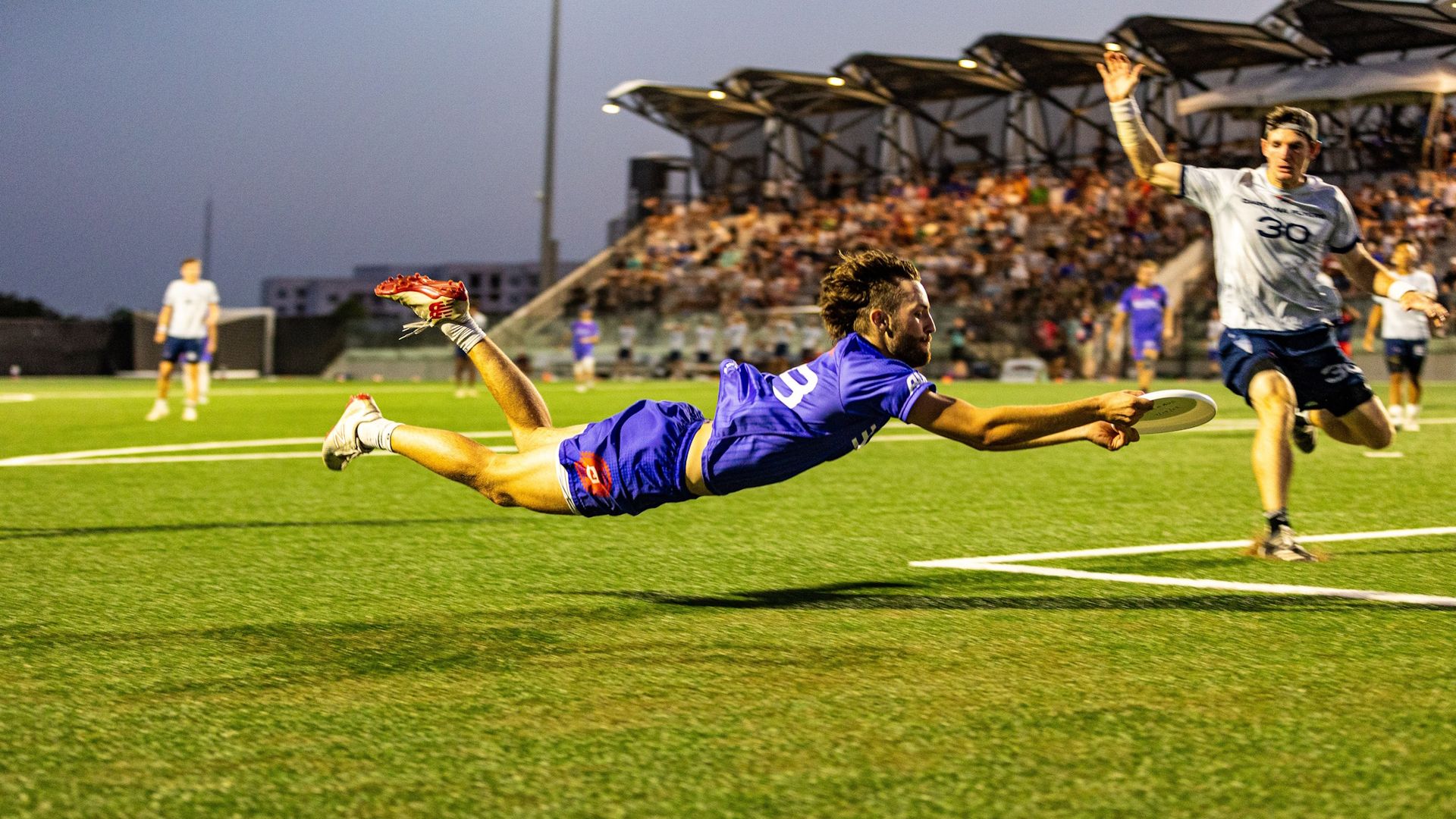 Blue-uniform player dives for a flying frisbee on a green turf field at dusk, while gray-uniform defender number 30 raises an arm; crowded stadium stands and lights glow in the background.
