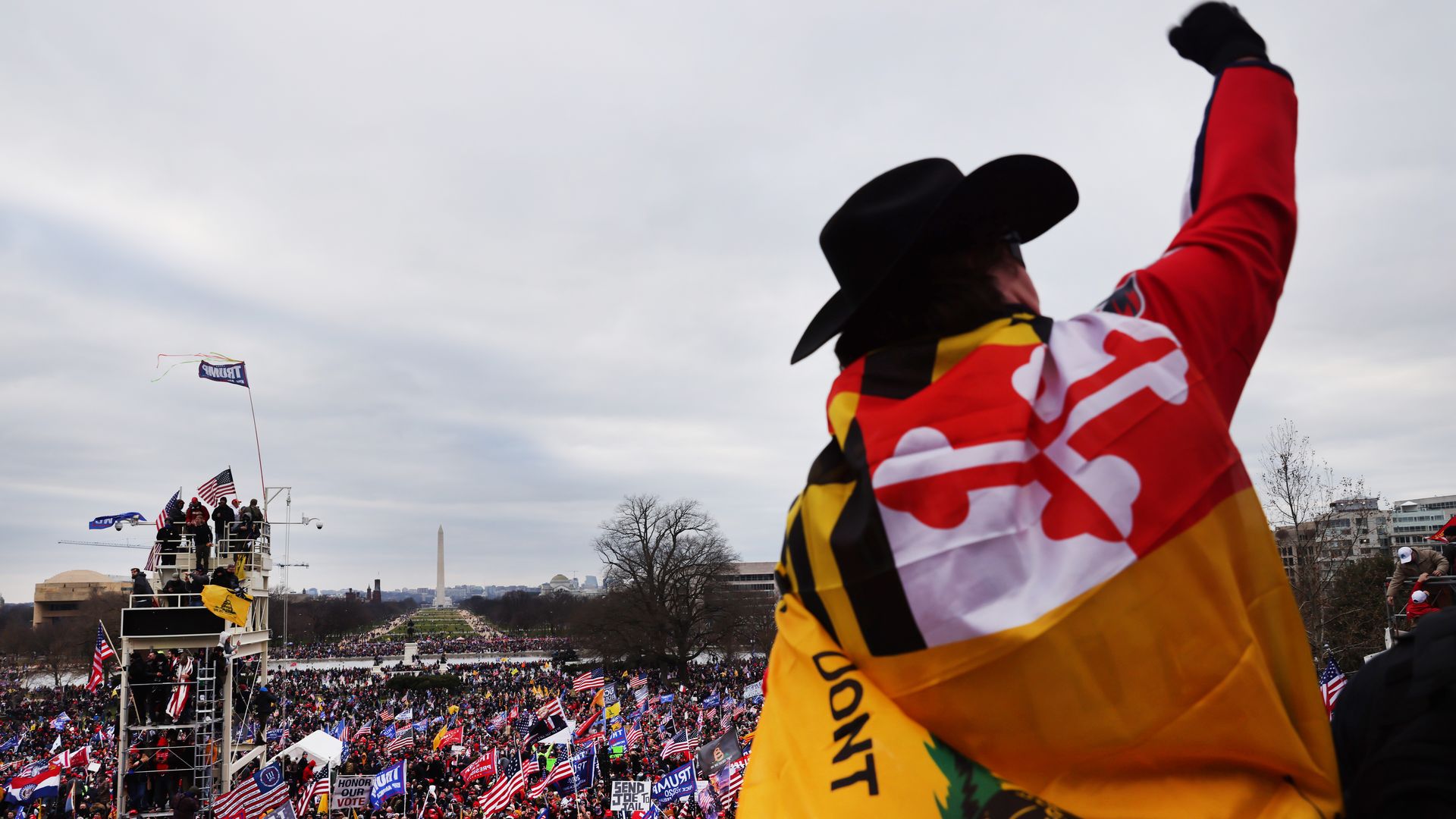 Photo of a person raising their fist as they overlook a crowd of "Stop the Steal" protesters at the Capitol