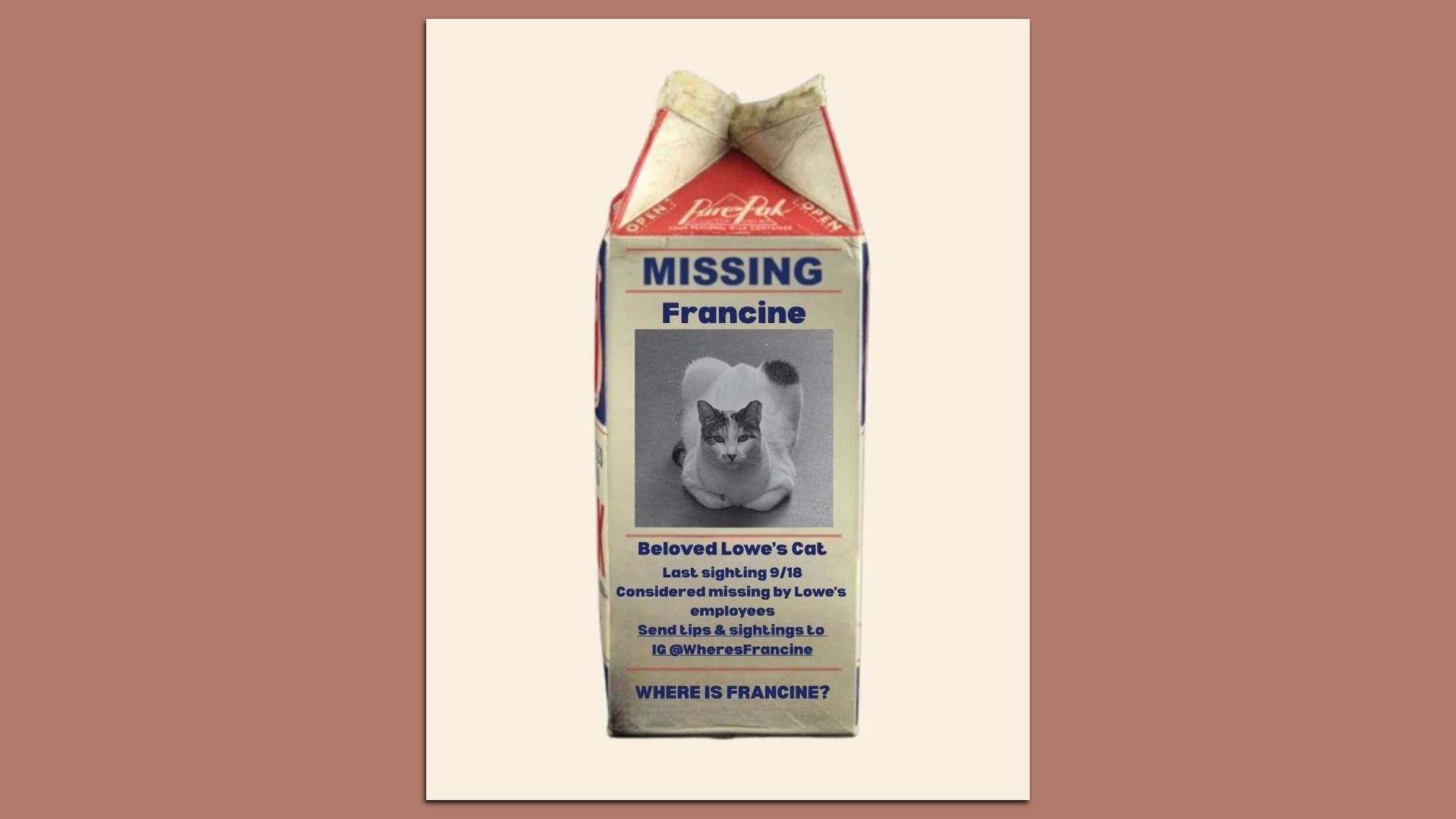A milk carton with a missing cat notice for Francine, a white and tabby cat. It states last sighting 9/18 and asks to send tips to IG @WheresFrancine.