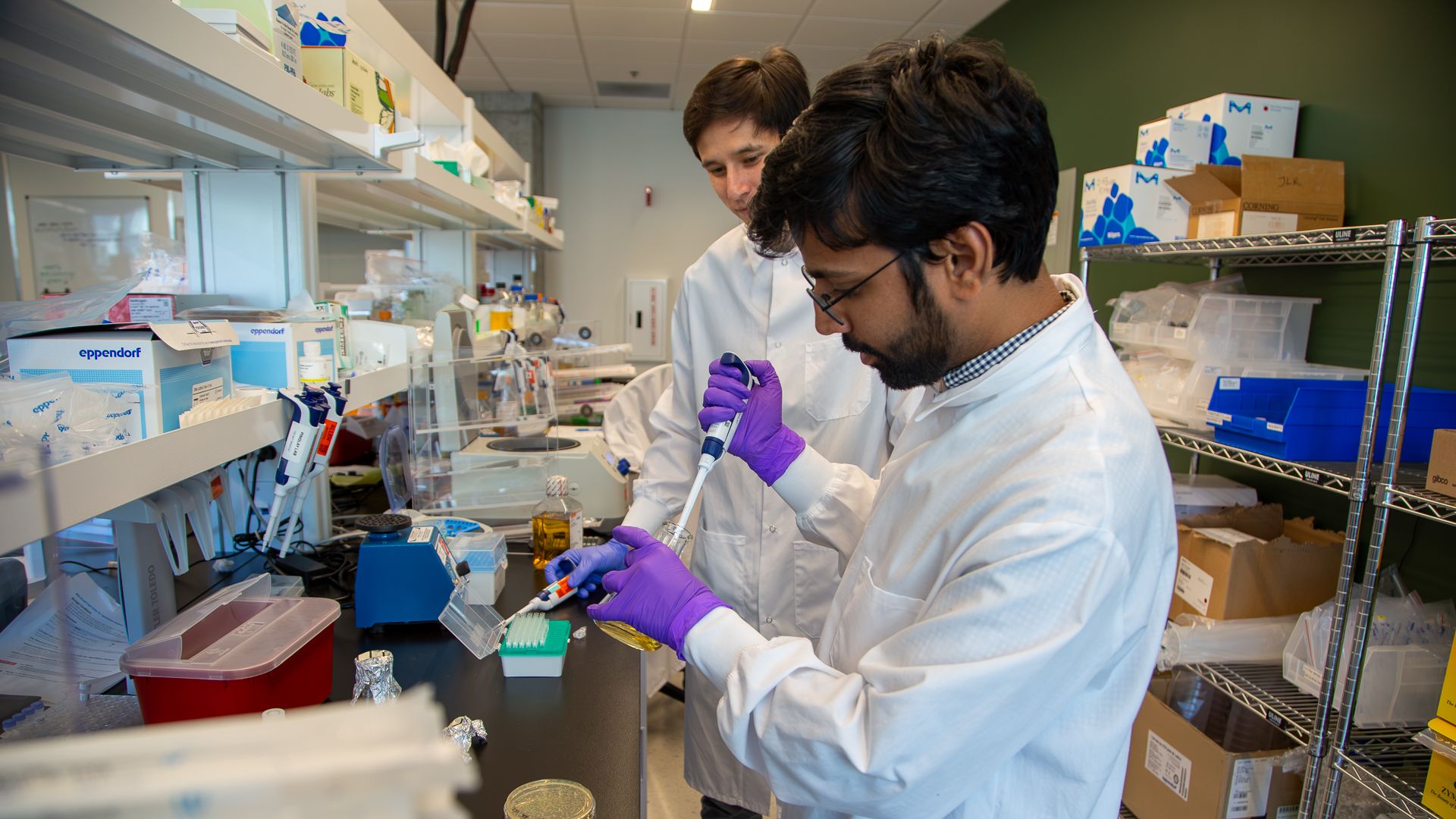 Two researchers in white lab coats and purple gloves perform a pipetting task at a lab bench; shelves with boxes and lab supplies fill the background of a busy lab.