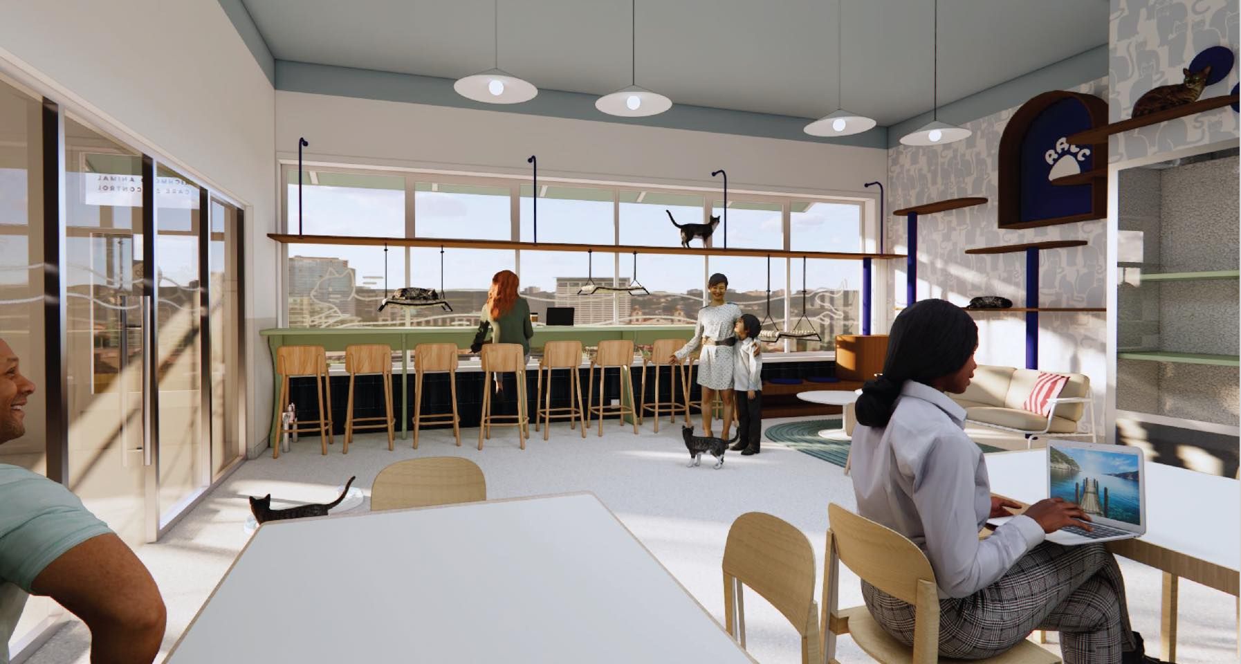 Bright, modern cafe/coworking space with large windows and a long bar with wooden stools. People chat and work while cats roam the shelves and floor, one cat perched on a high beam.