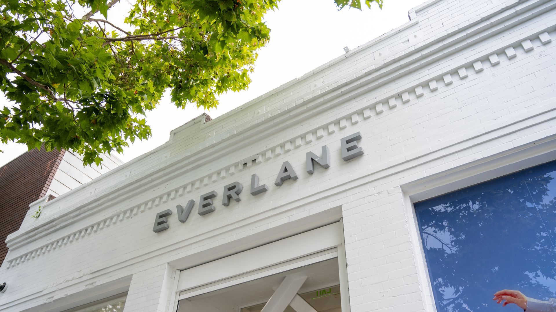 White brick storefront with large gray letters spelling EVERLANE across the facade, a lush green tree overhead on the left, and a tall blue window on the right.