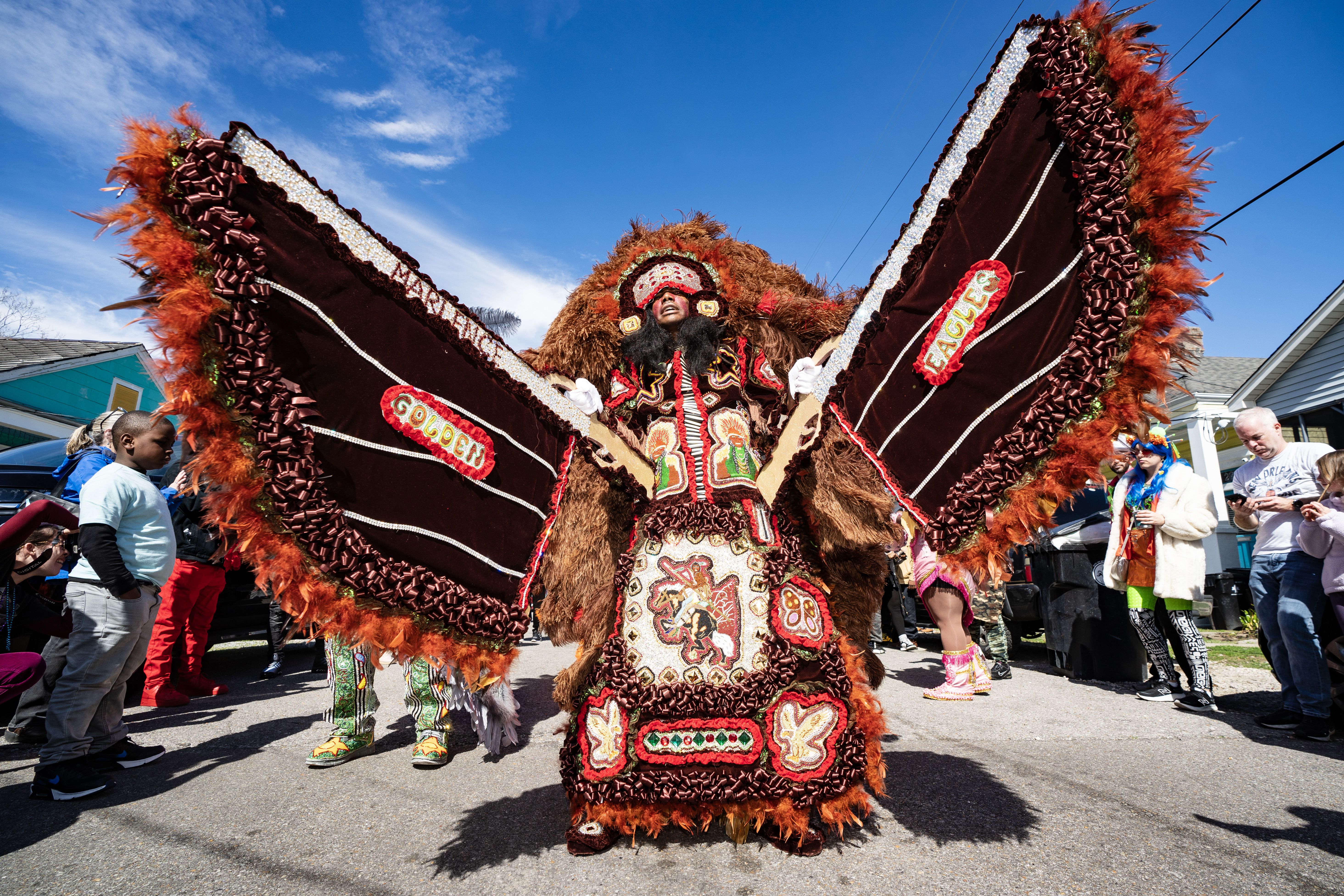 Photo shows a Mardi Gras Indian in a colorful feathered suit