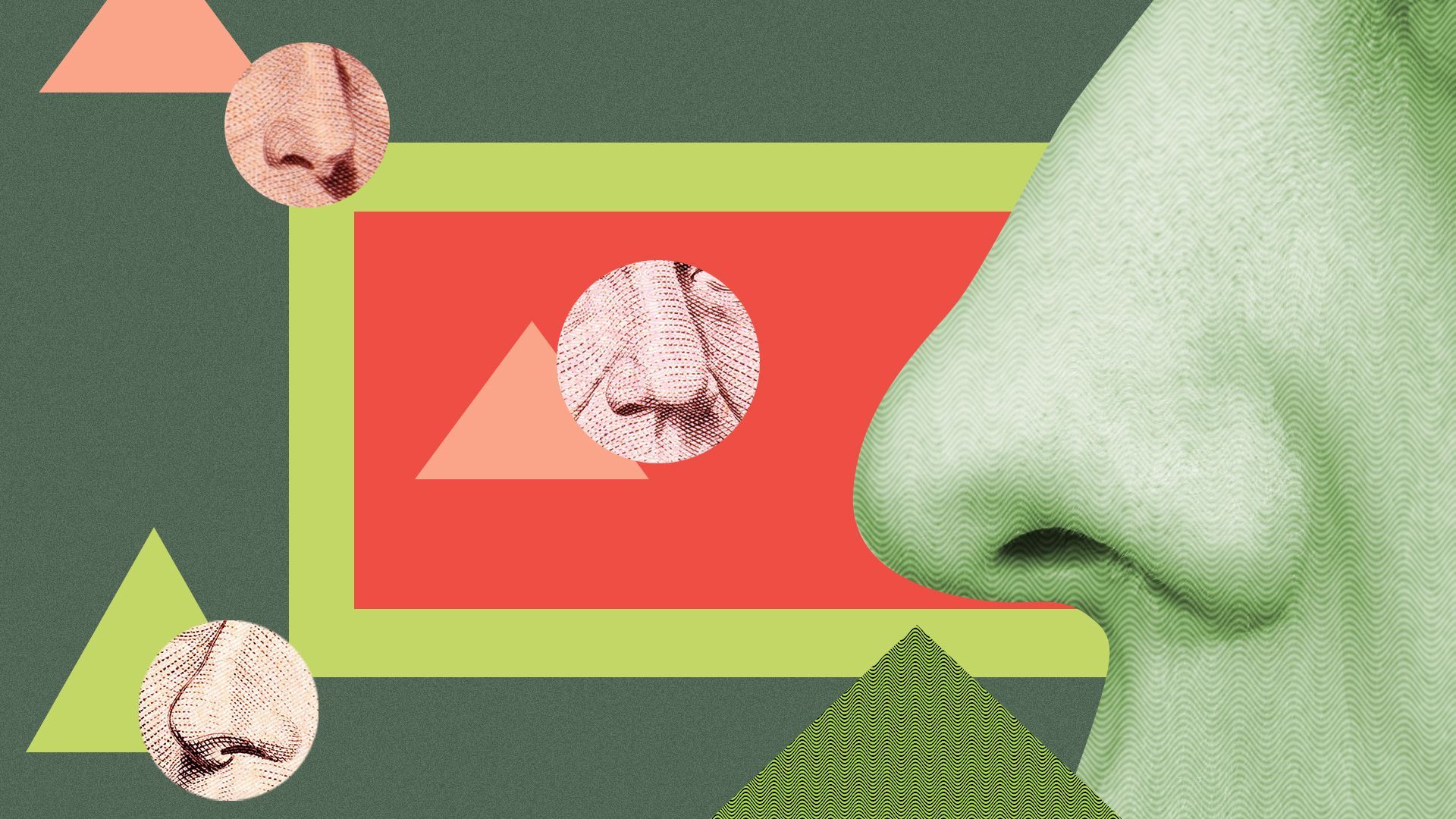 Illustrated collage of noses from various money bills. 