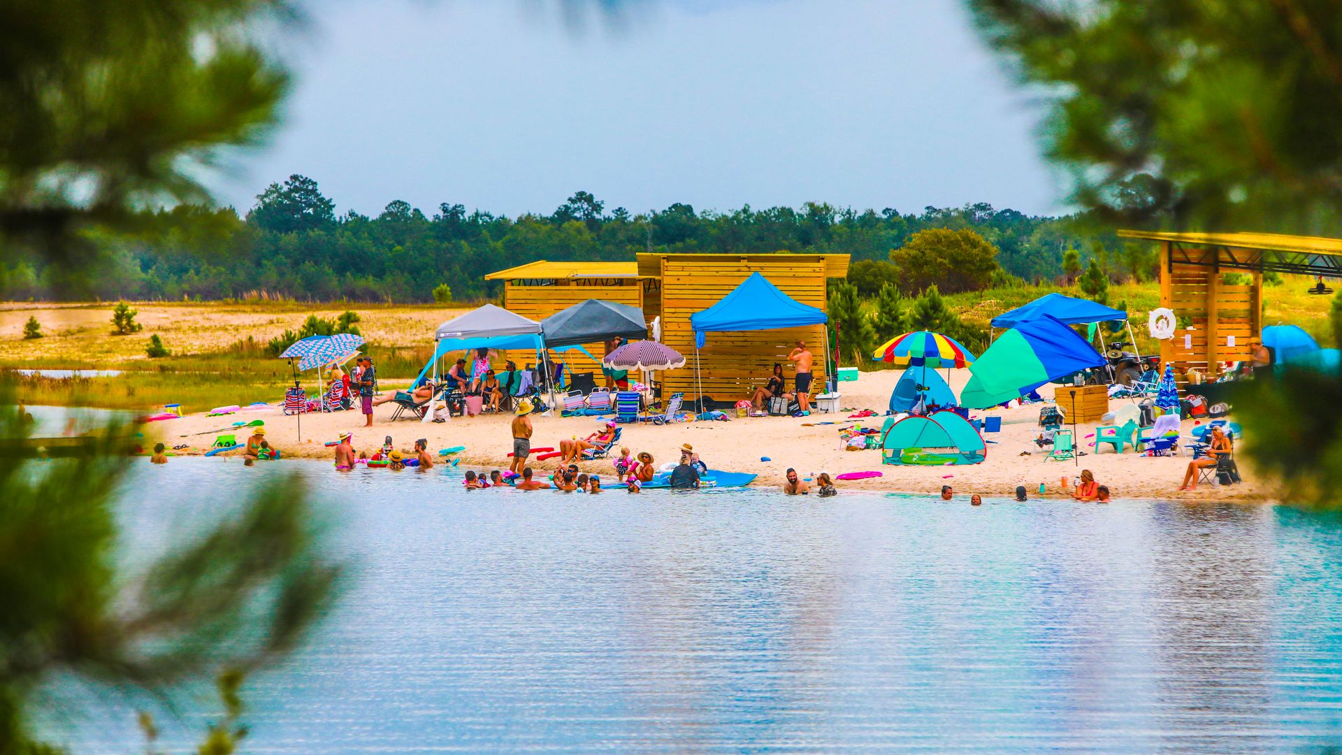 A busy lakefront beach is viewed between tree branches.