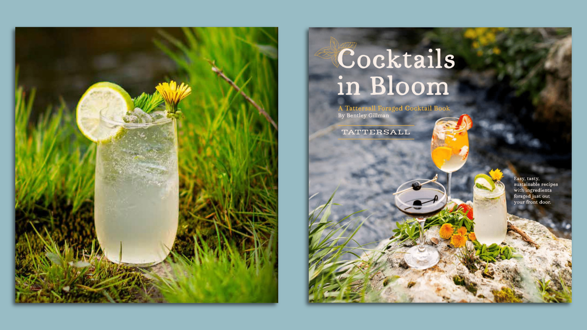 A drink in a clear glass with a lime and dandelion garnish sitting on grass and a photo of a book cover that says cocktails in bloom and has 3 cocktails perched by a river